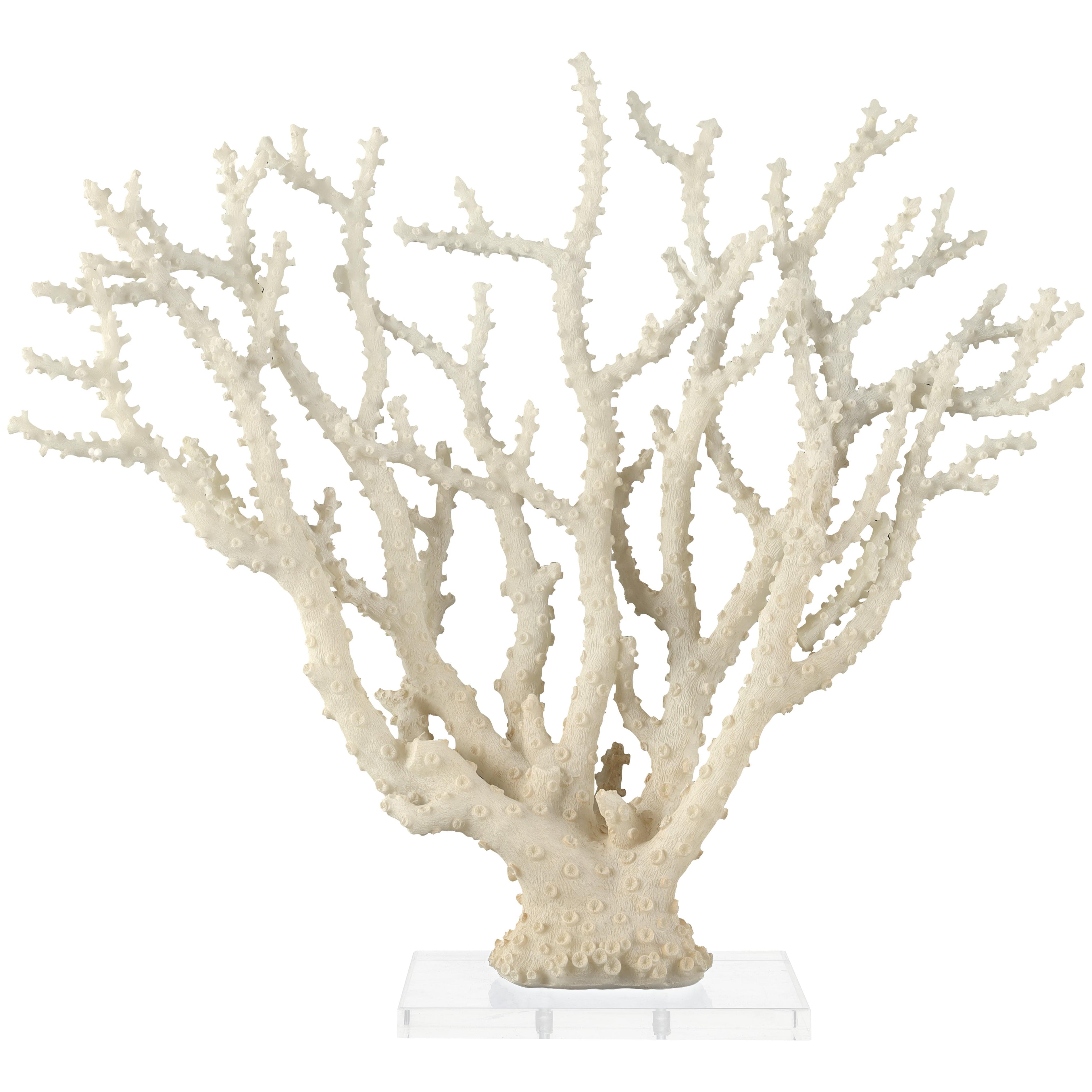 Coral Cream Polystone Decorative Sculpture with Clear Acrylic Base
