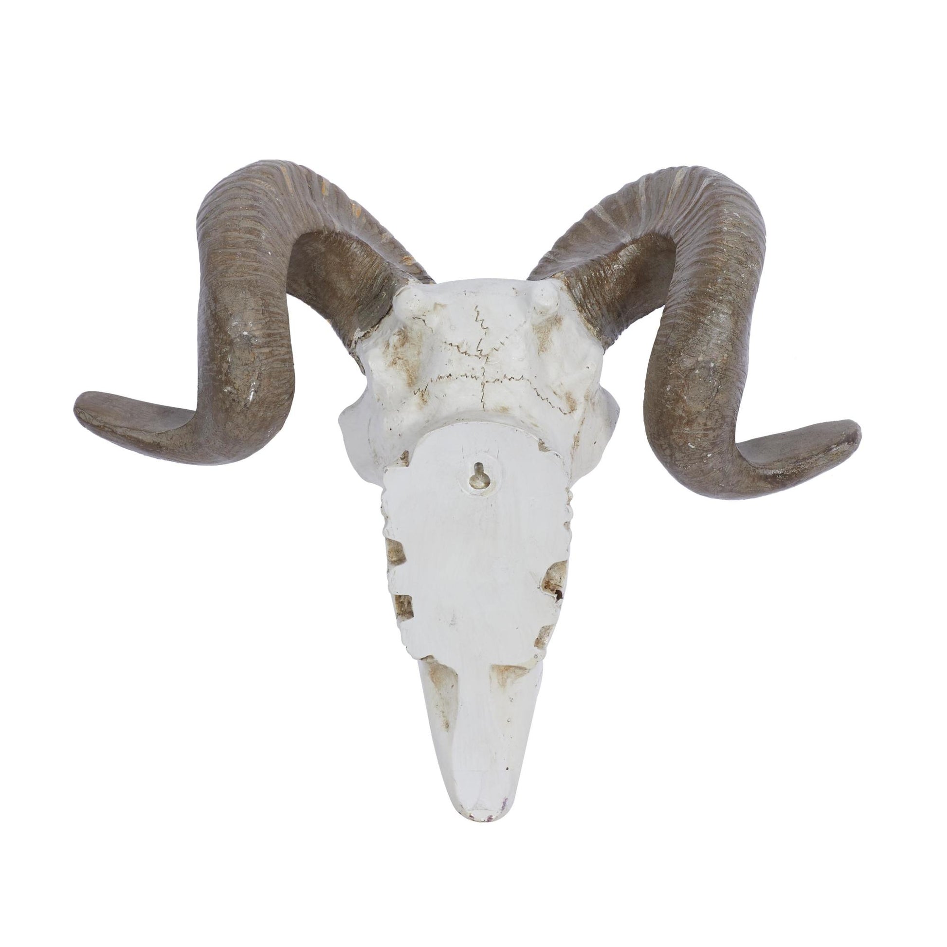 Sheep White Polystone Skull Home Wall Decor