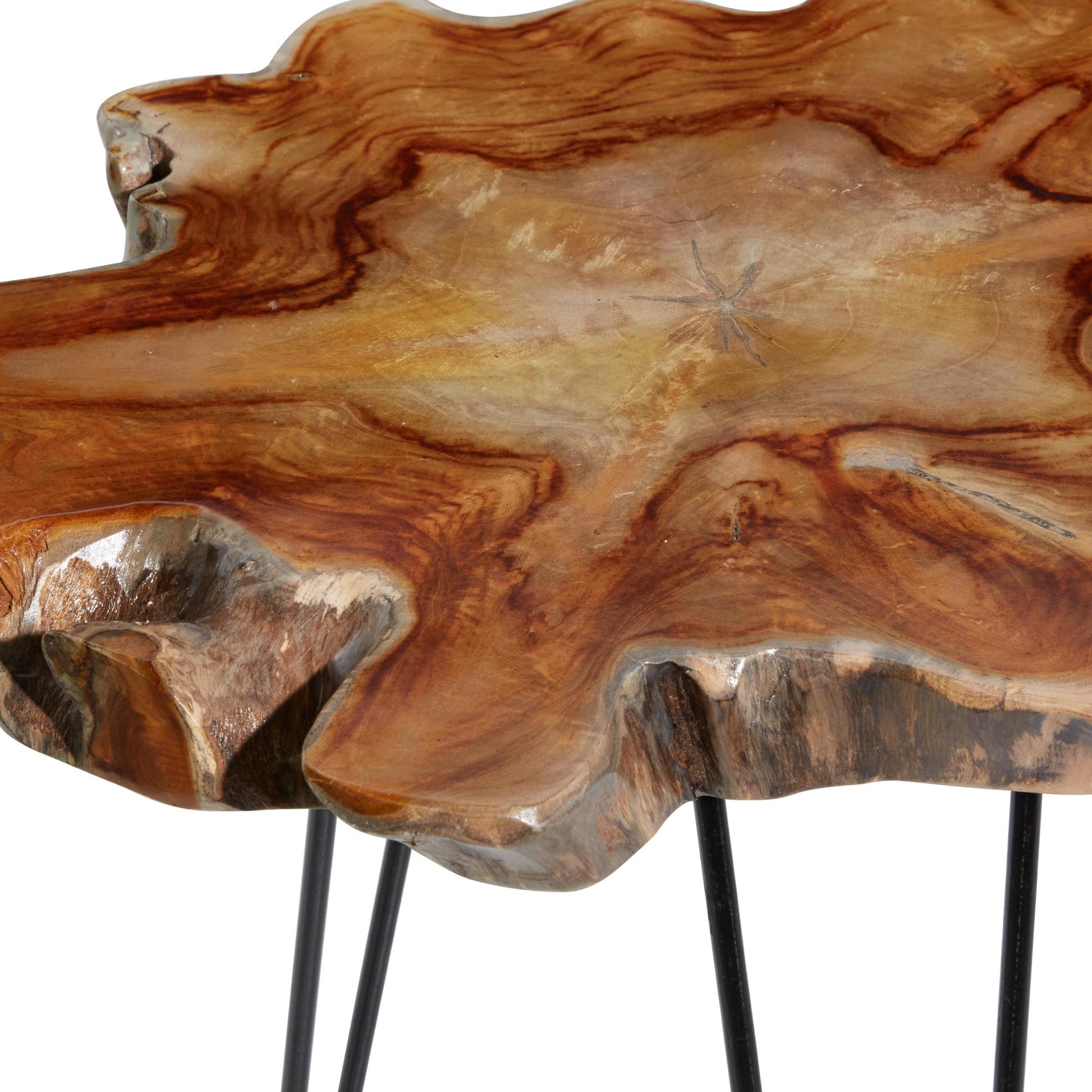 Set of 2 Brown Teak Wood Live Edge Top Side End Accent Table with Black Metal Hairpin Legs