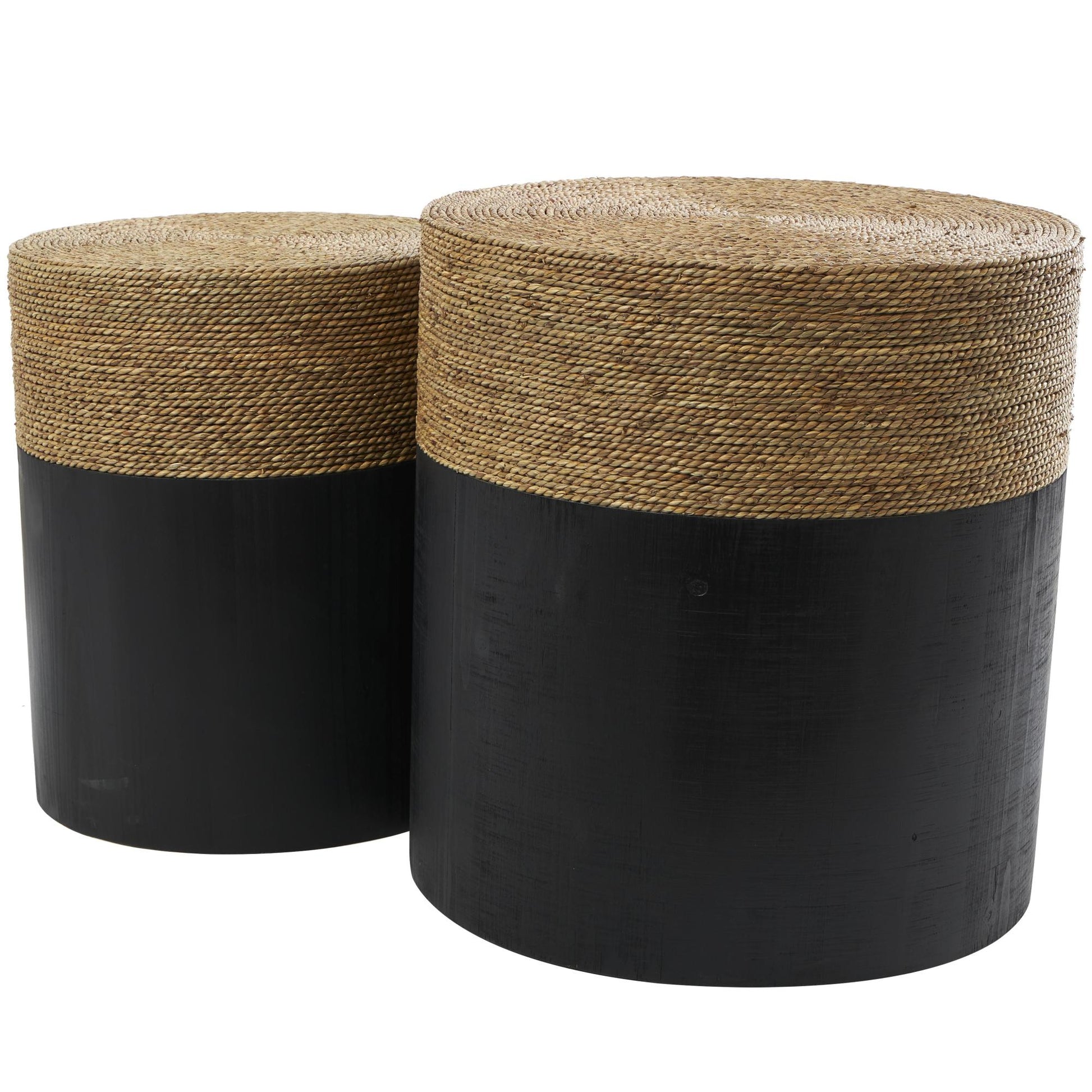 Set of 2 Black Wood Handmade Color block Wrapped Side End Accent Table with Dried Plant Tabletops