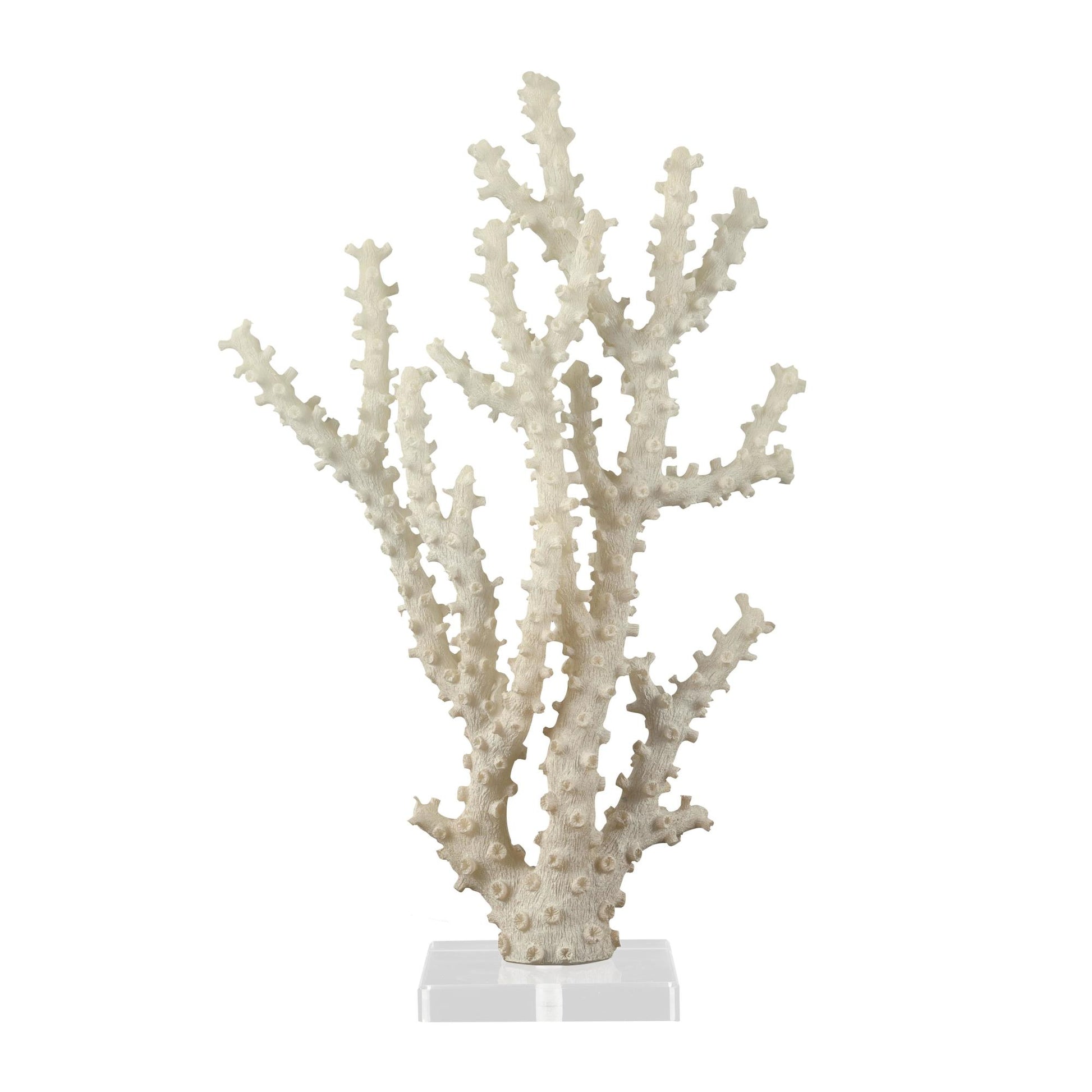 Coral Cream Polystone Decorative Sculpture with Clear Acrylic Base