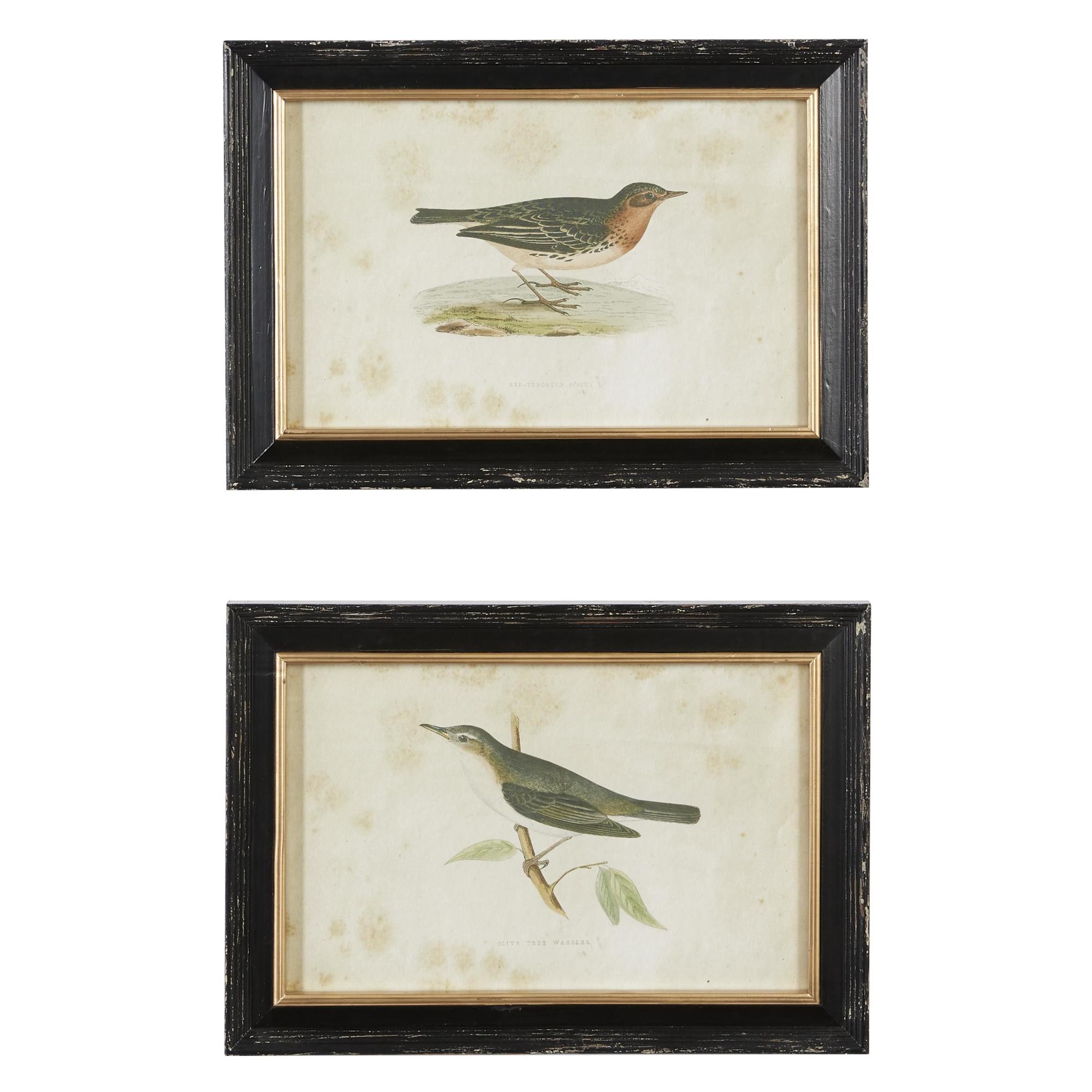 Set of 2 Bird Black Wood Living Room Framed Wall Art with Black Frame