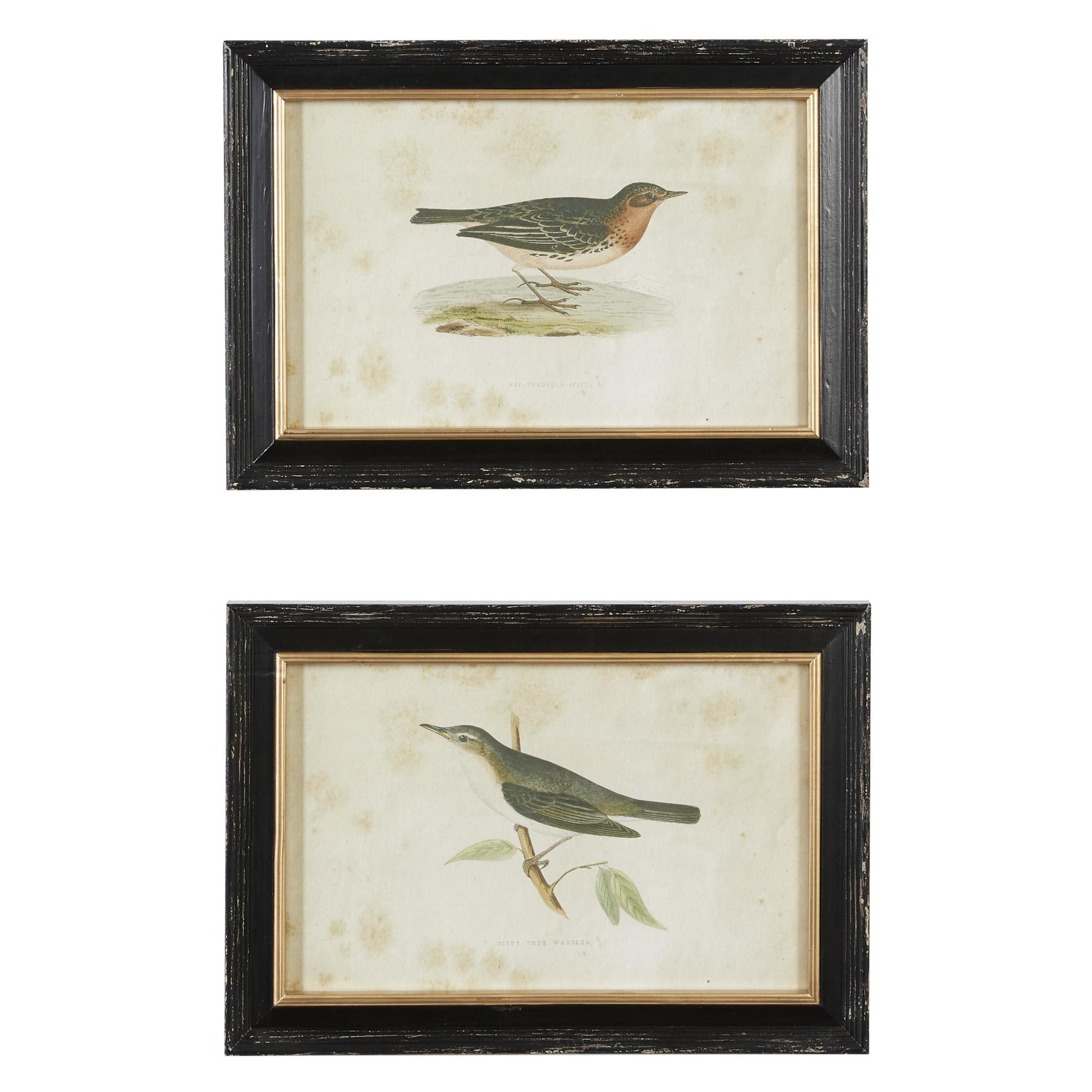 Set of 2 Bird Black Wood Living Room Framed Wall Art with Black Frame