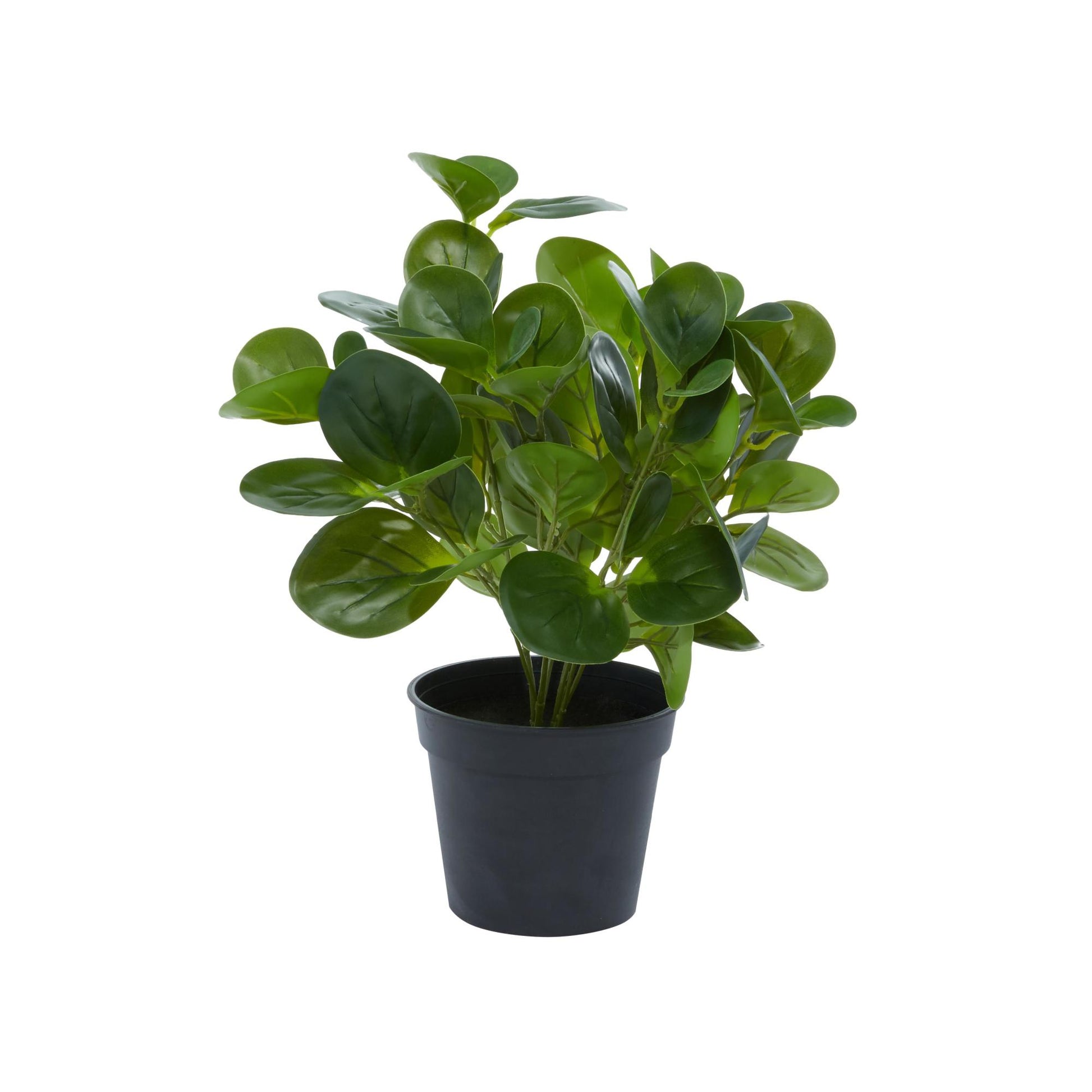 Eucalyptus Green Faux Foliage Indoor Outdoor Artificial Plant with Realistic Leaves and Black Round Pot