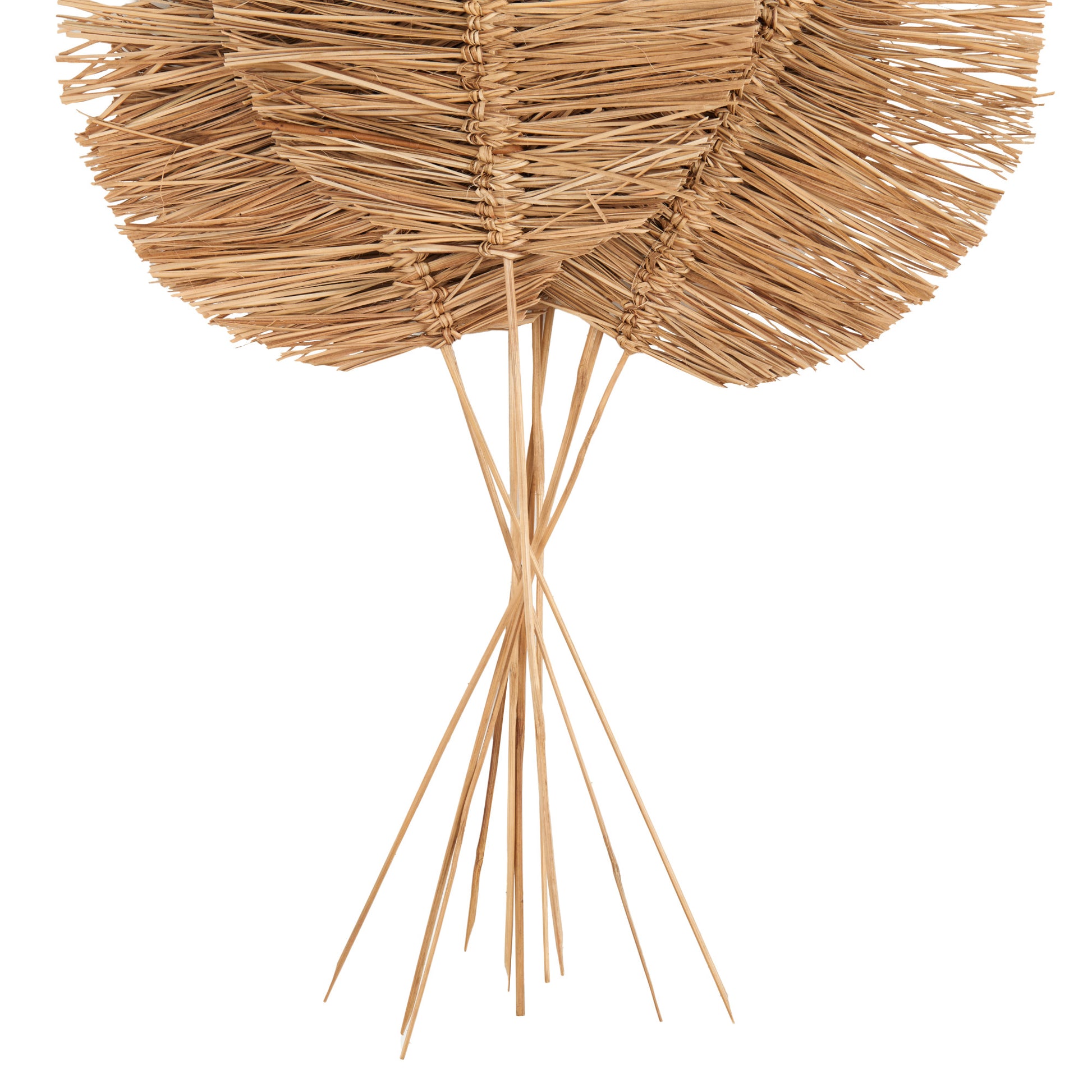 Leaf Dried Plant Tall Spear Home Decor Natural Foliage with Sharp Stems