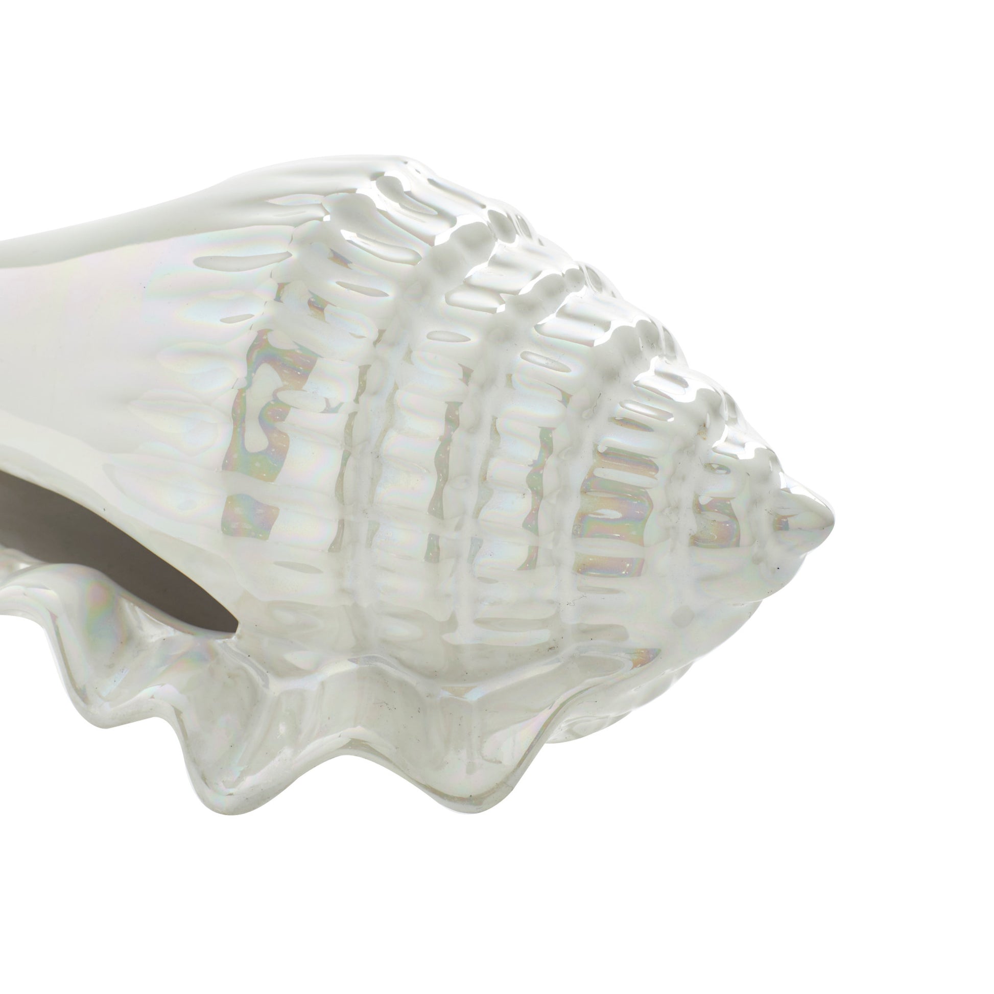 Set of 3 Shell White Porcelain Ceramic Shell Decorative Sculpture