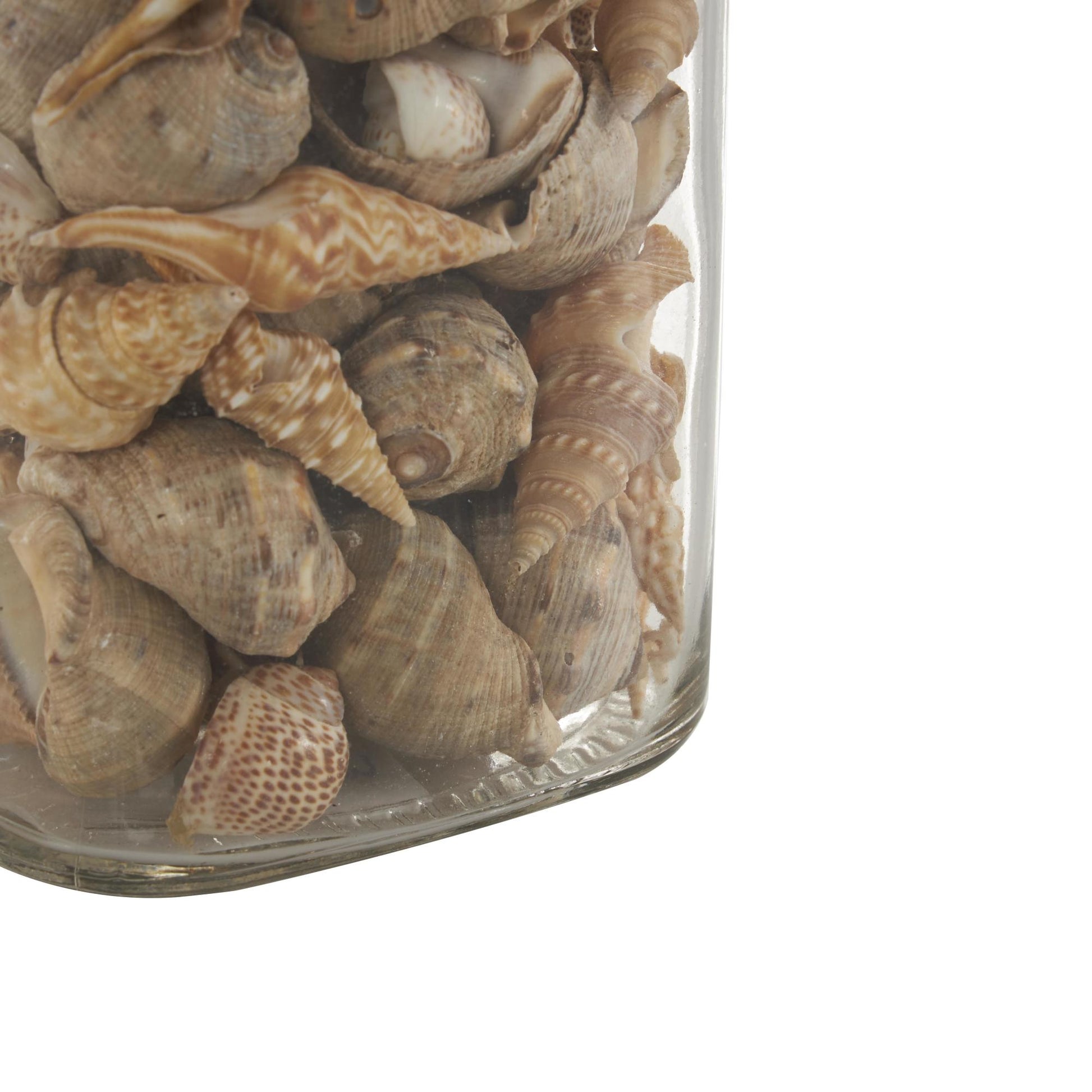 Set of 3 Clear Glass Decorative Orbs & Vase Filler with Seashells and Jute Rope Accents