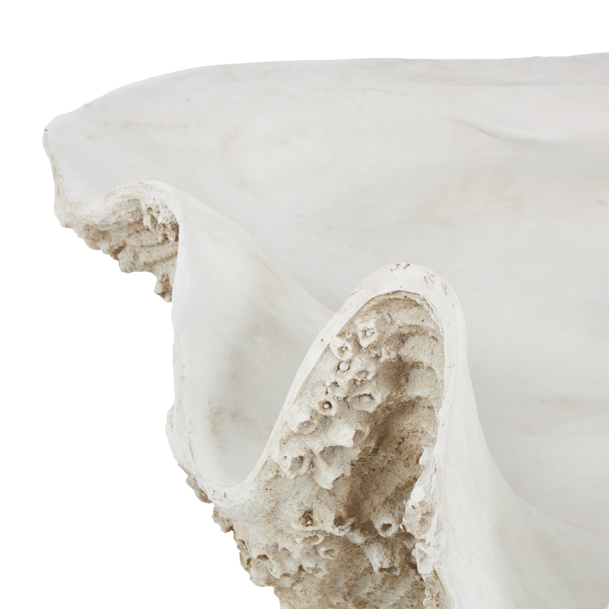 Shell White Polystone Large Textured Decorative Sculpture