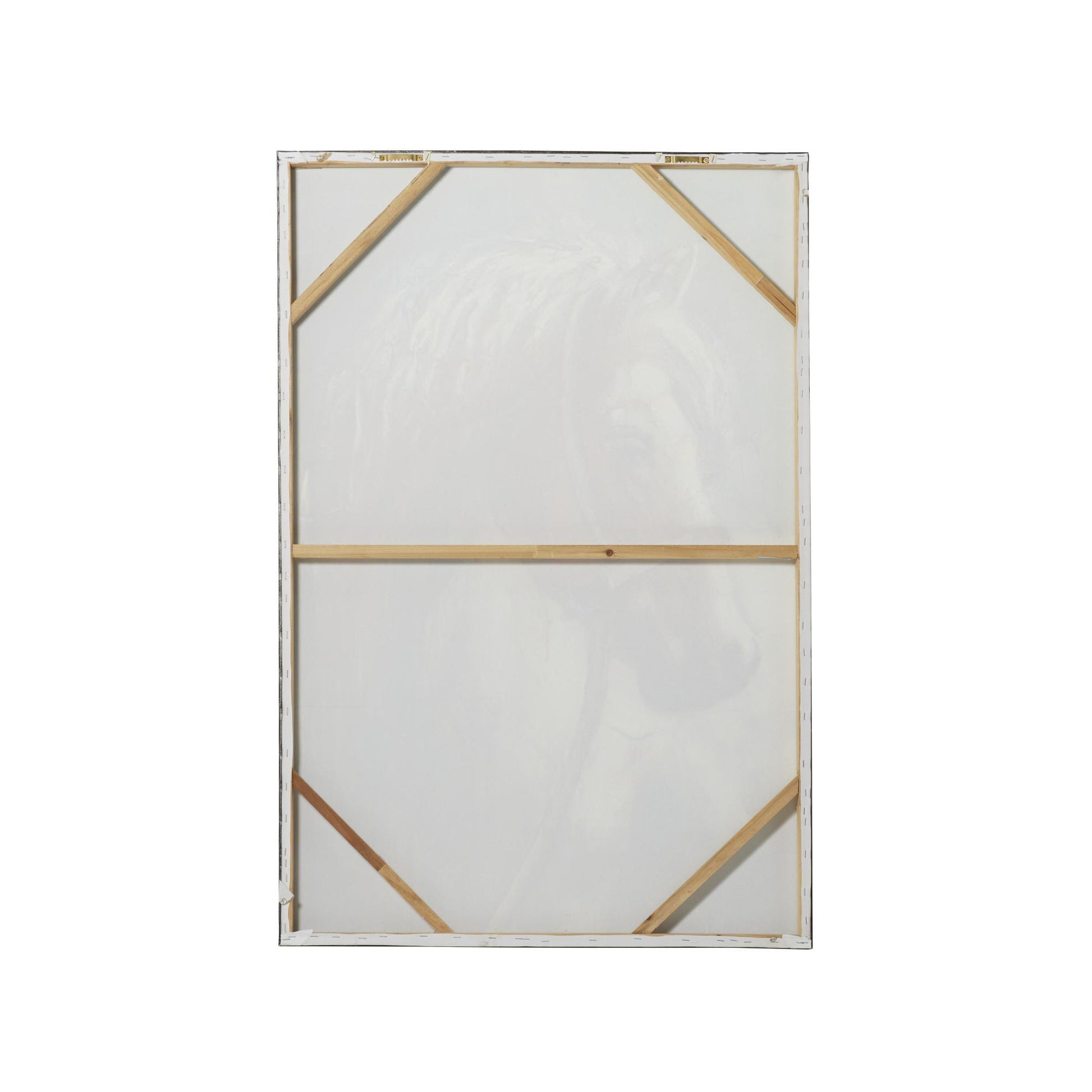 Horse Brown Canvas Decorative Wall Art