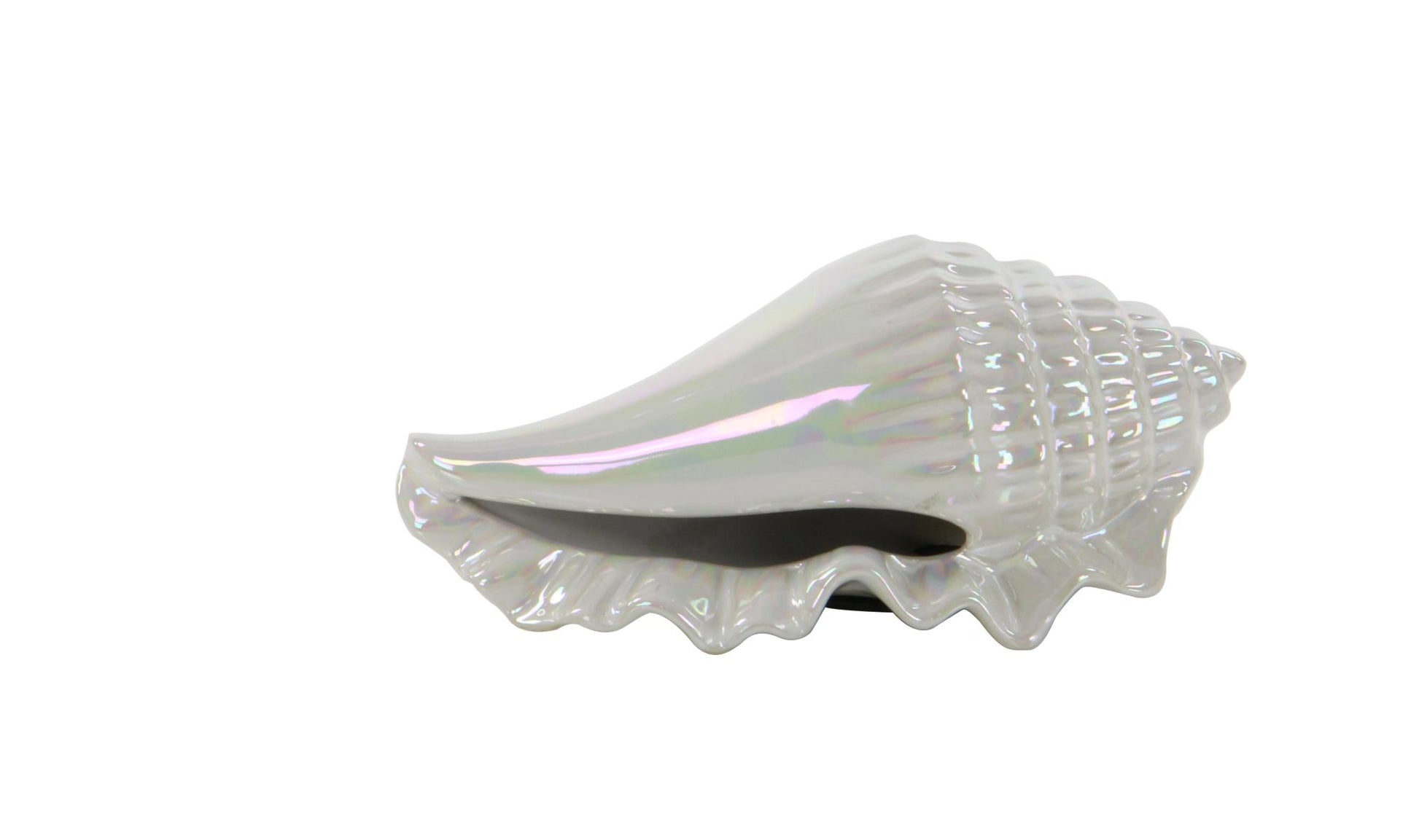 Set of 3 Shell White Porcelain Ceramic Shell Decorative Sculpture