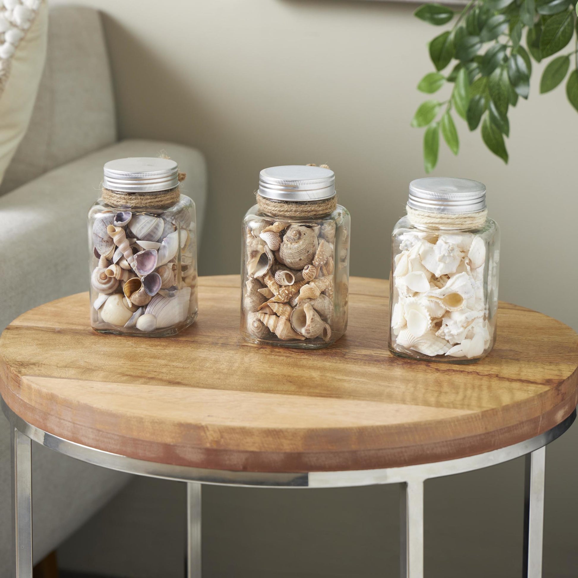 Set of 3 Clear Glass Decorative Orbs & Vase Filler with Seashells and Jute Rope Accents