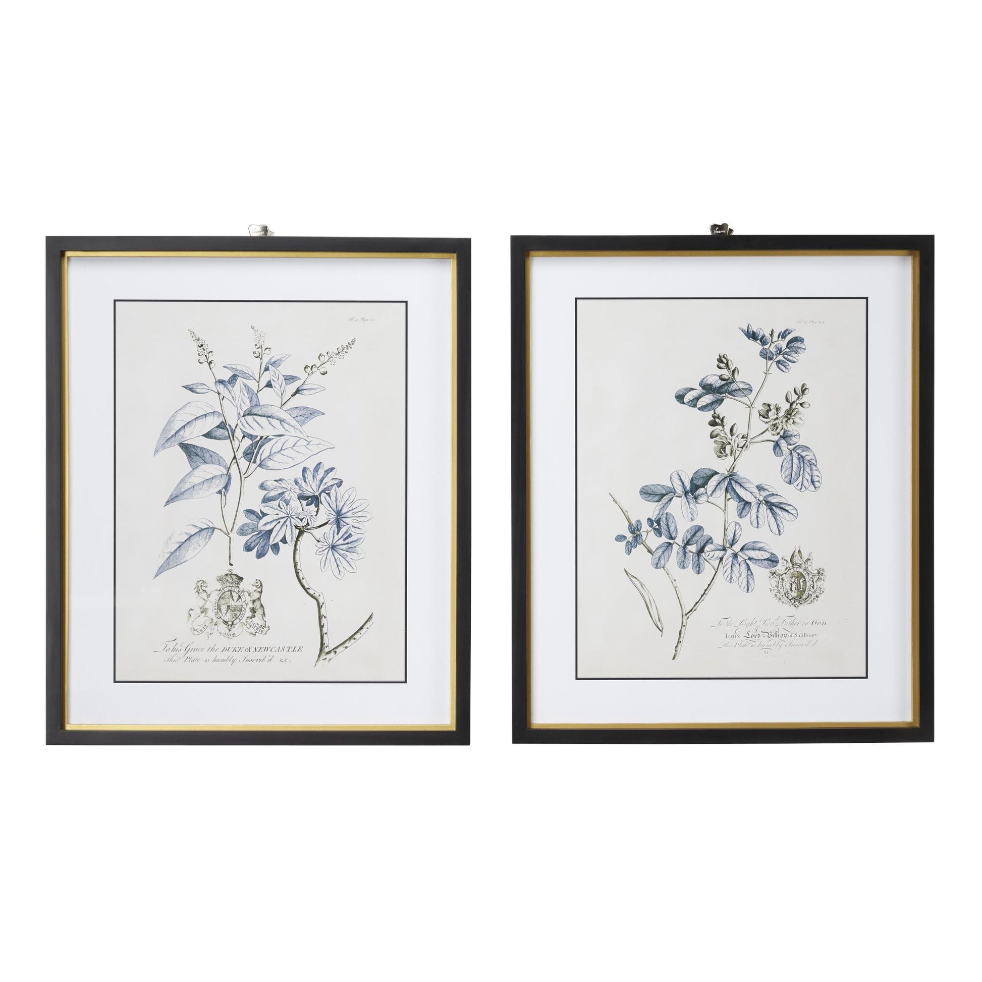 Set of 2 Floral Blue Wood Home Shadow Box with Black and Gold Frame