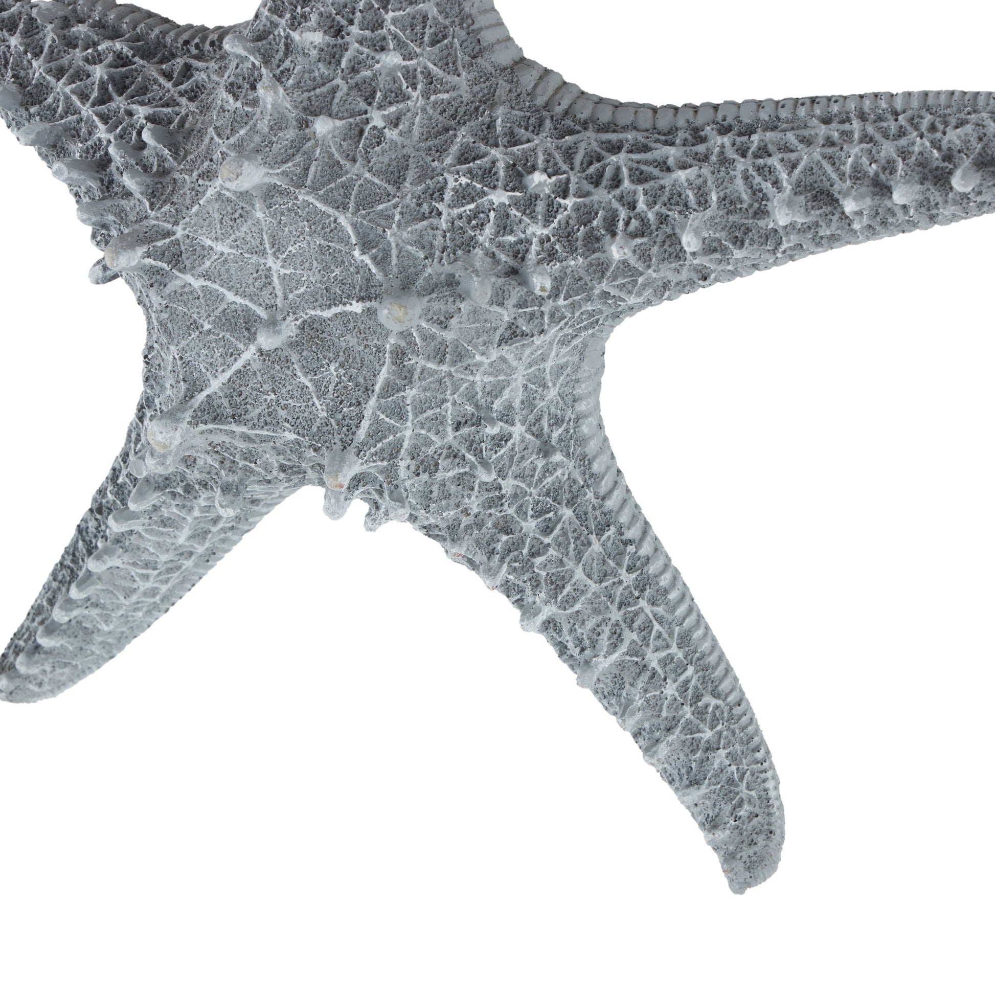 Starfish Gray Polystone Home Wall Decor with Hanging Rope