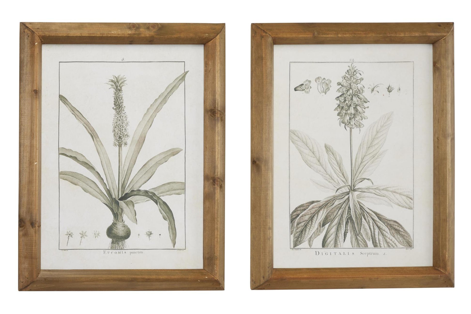Set of 2 Leaf Light Brown Wood Living Room Framed Wall Art with Gray Accents