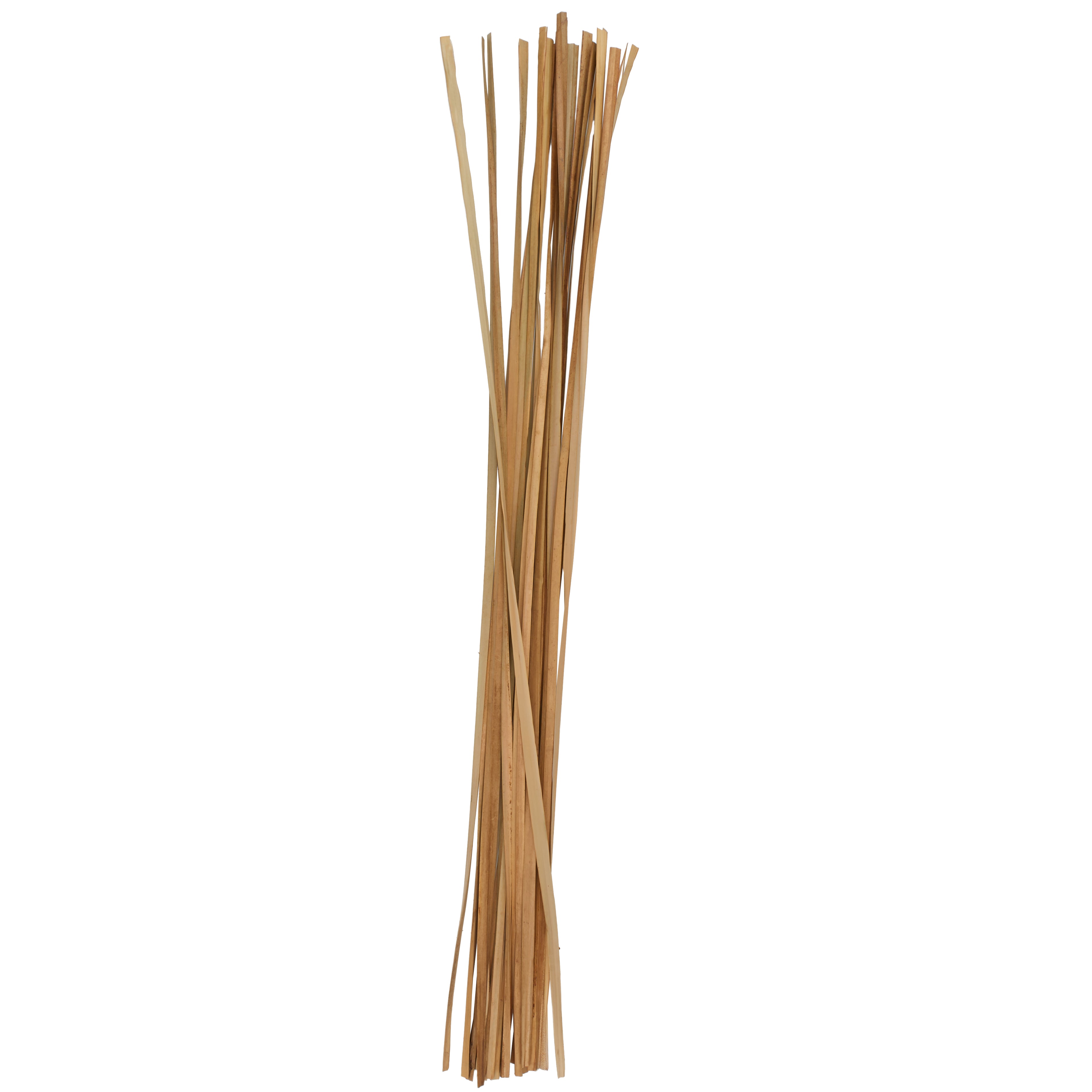 Set of 20 Dried Plant Tall Sticks Home Decor Natural Foliage Set of 20