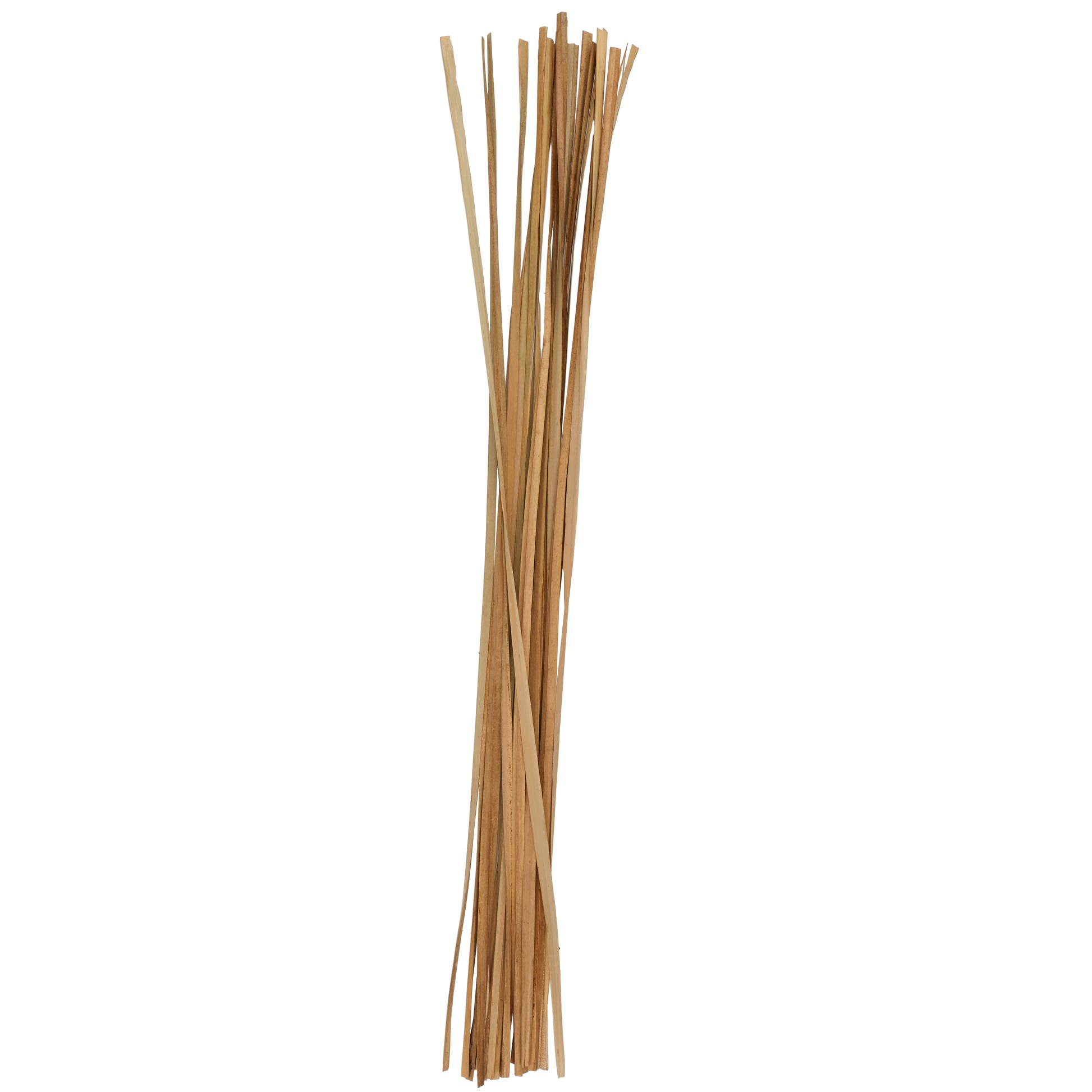 Set of 20 Dried Plant Tall Sticks Home Decor Natural Foliage Set of 20