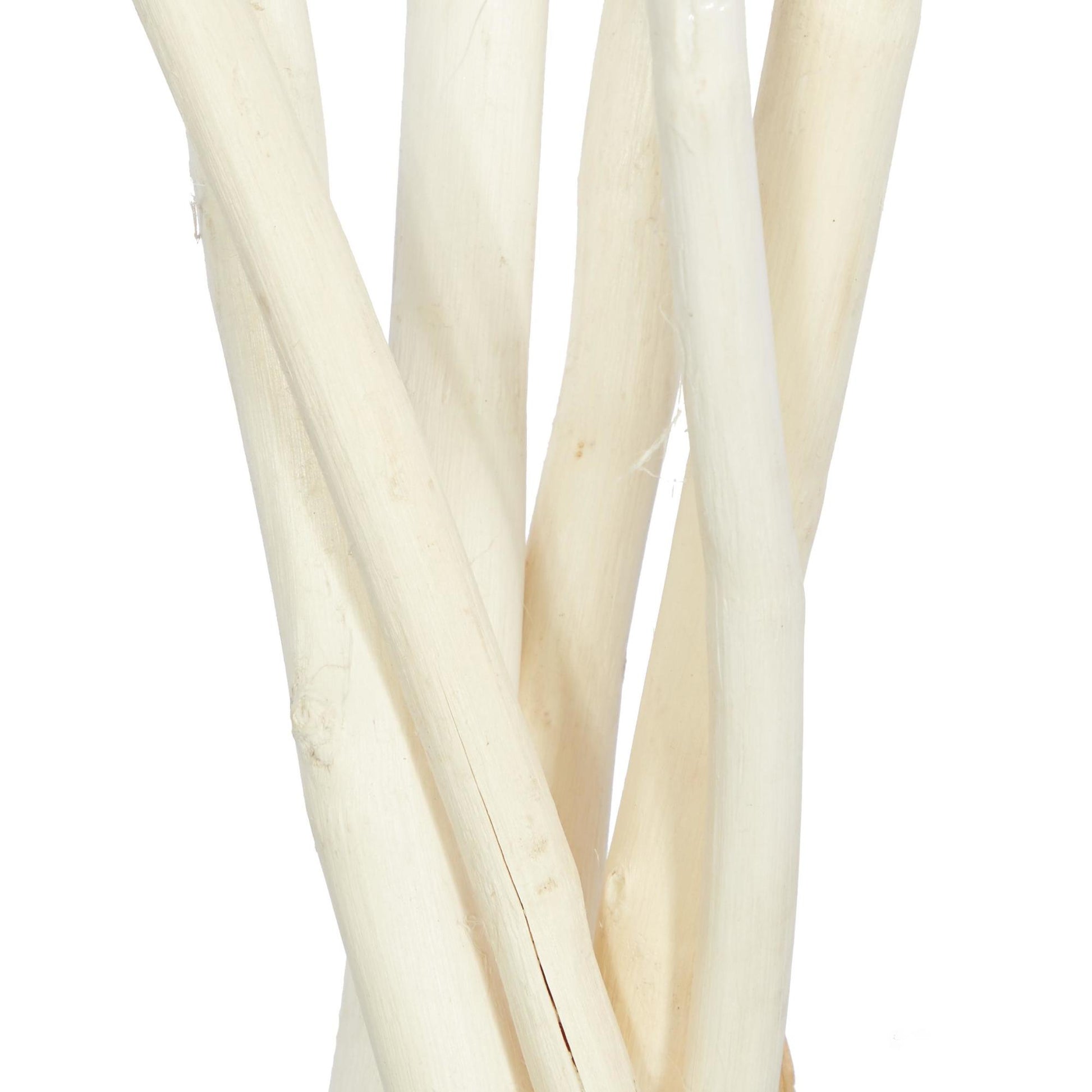 Set of 2 Pigeon pea White Dried Plant Tall Sticks Home Decor Natural Foliage