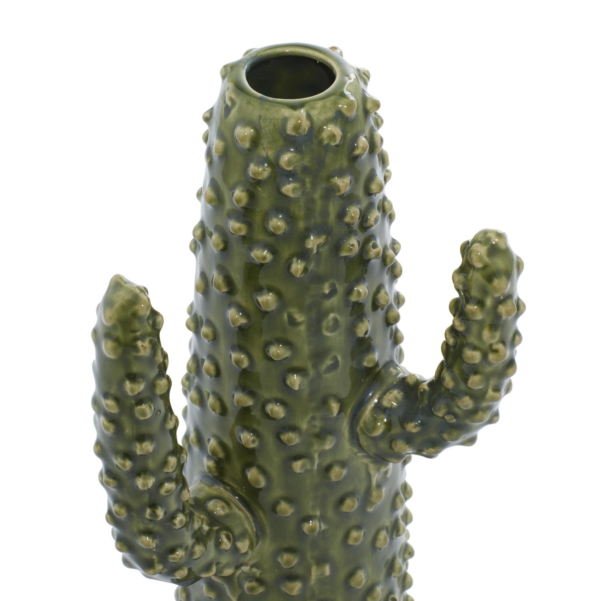 Cactus Green Ceramic Decorative Vase