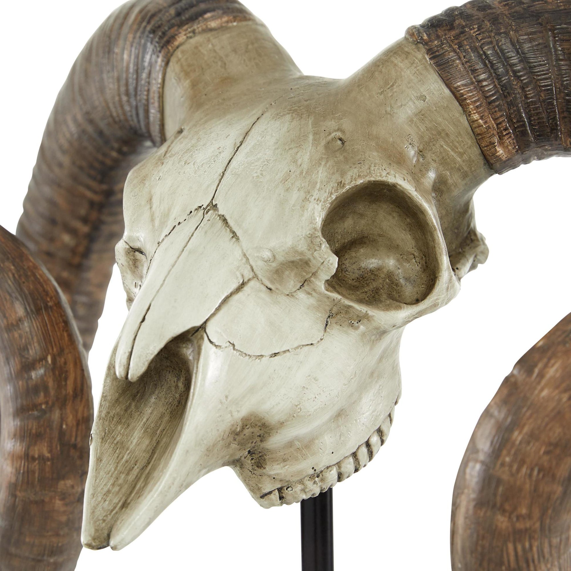 Ram Brown Polystone Skull Decorative Sculpture