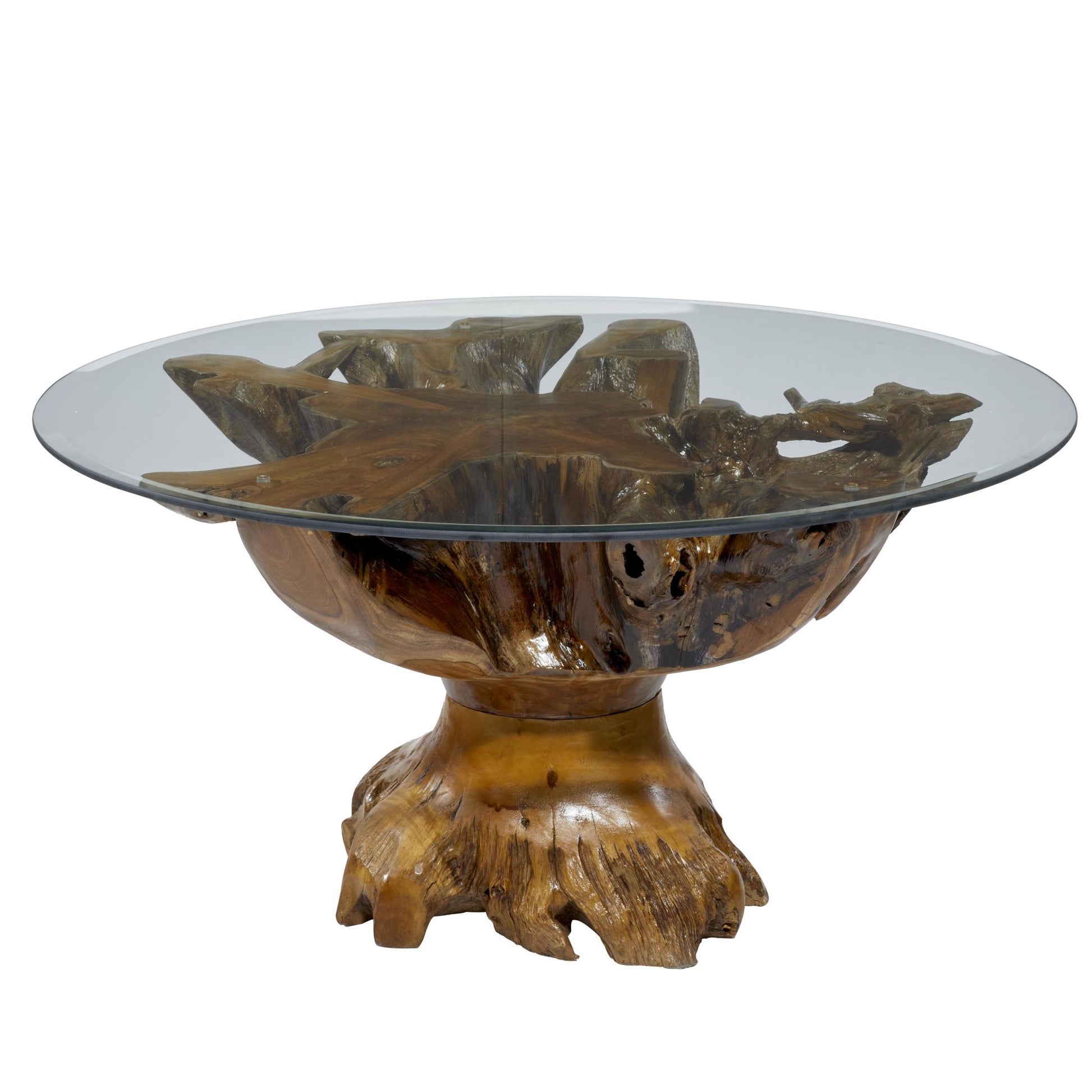 Brown Teak Wood Handmade Live Edge Tree Stump Living Room Coffee Table with Clear Glass Top