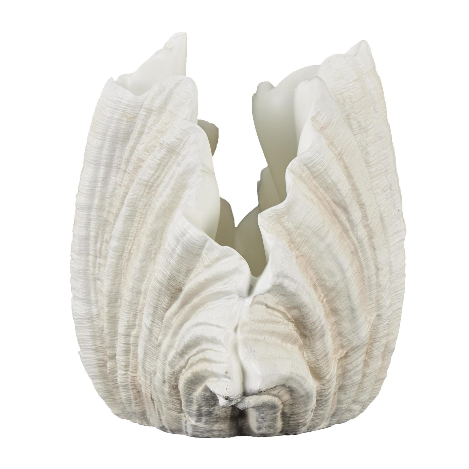 Shell Cream Resin Textured Decorative Sculpture