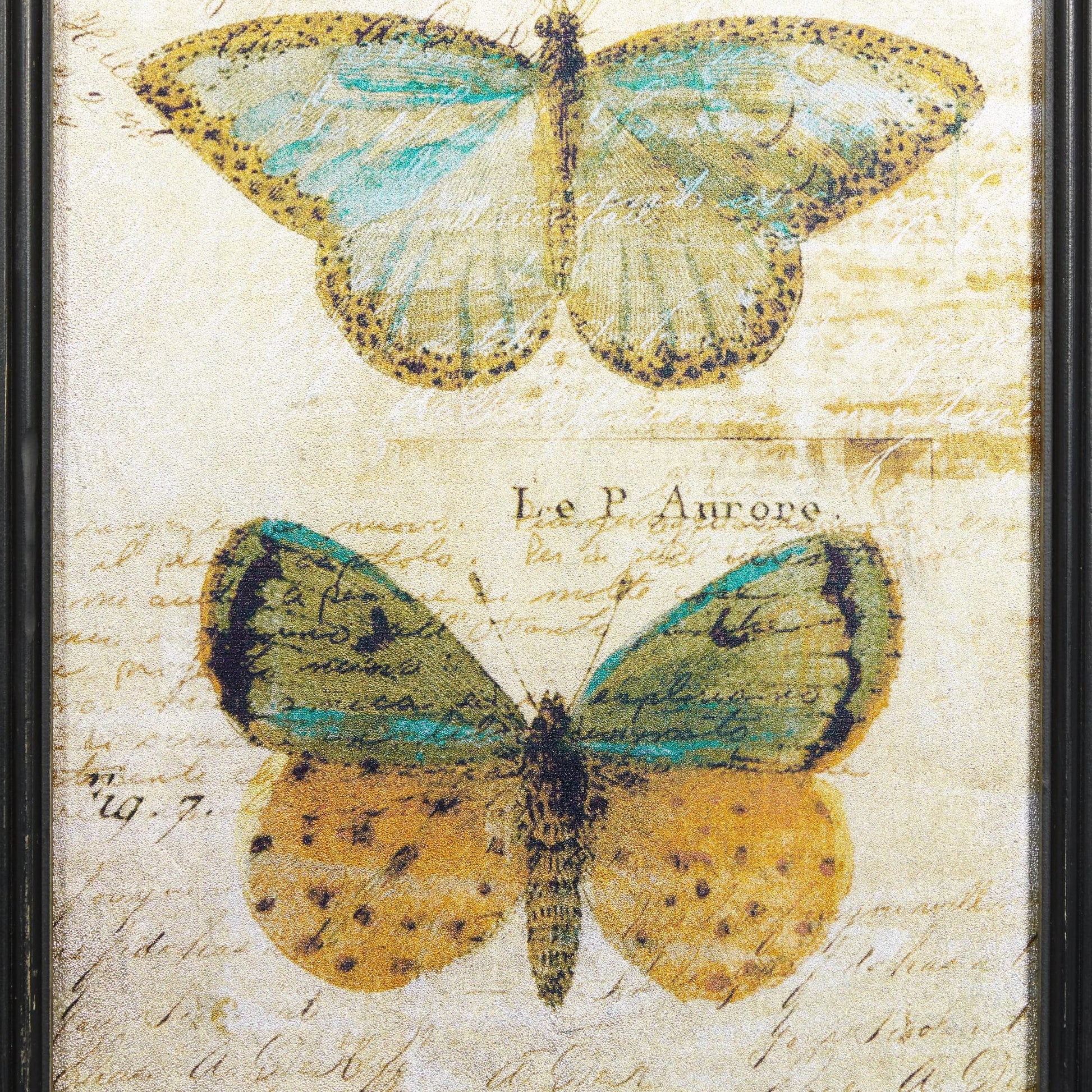 Set of 2 Butterfly Multi Colored Glass Living Room Framed Wall Art with Black Frame