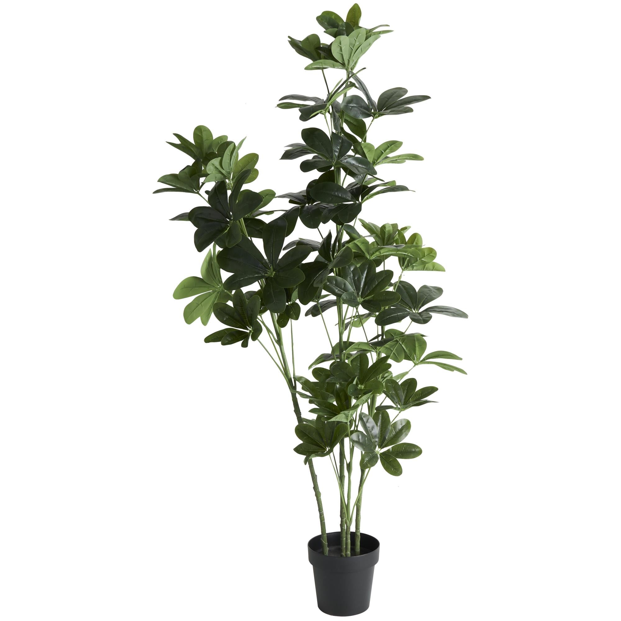 Money Tree Green Faux Foliage Tall Indoor Outdoor Artificial Tree with Black Pot
