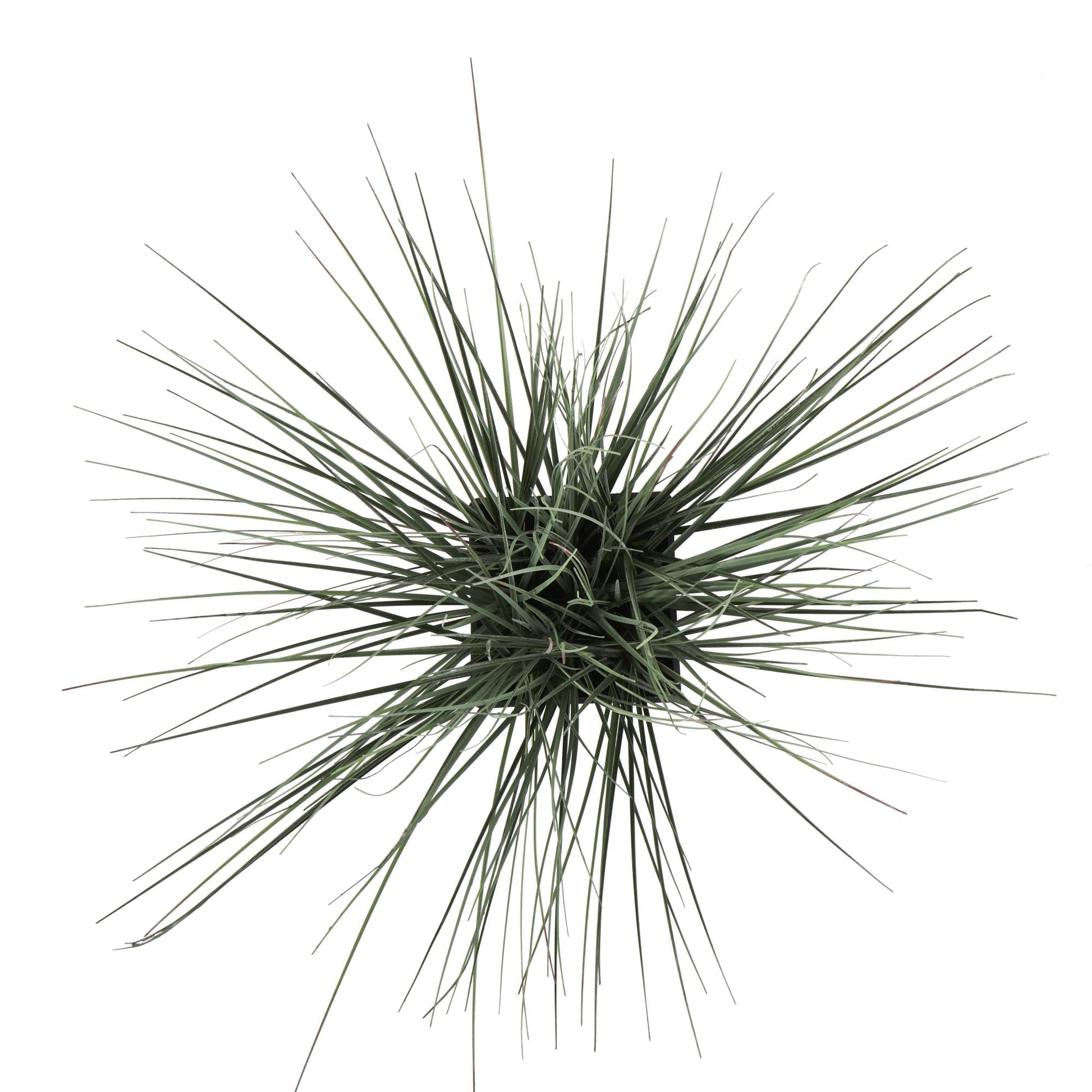 Onion Grass Green Faux Foliage Indoor Outdoor Artificial Plant with Black Plastic Pot