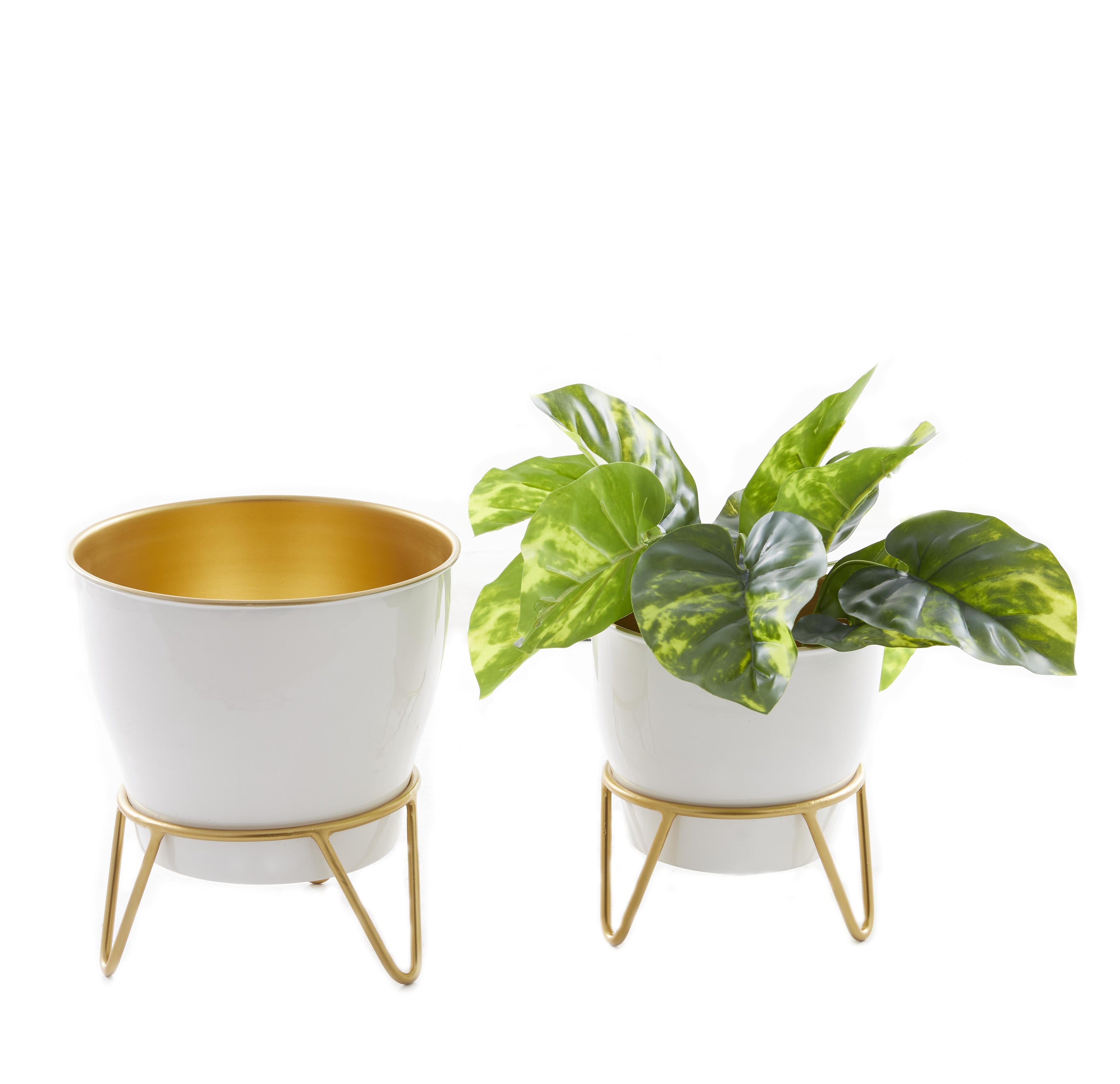 Set of 2 Metal Indoor Outdoor Planter with Removable Stand