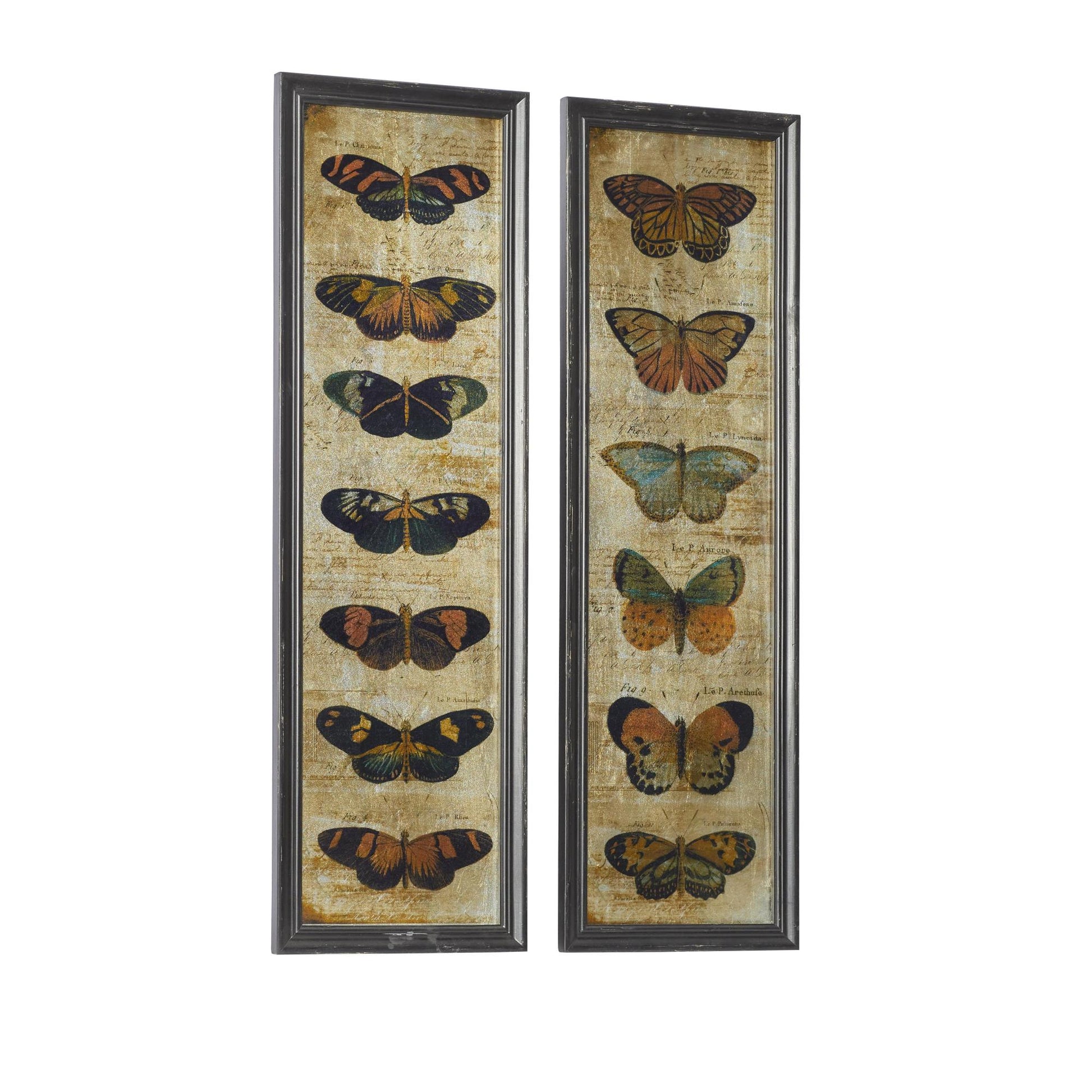 Set of 2 Butterfly Multi Colored Glass Living Room Framed Wall Art with Black Frame