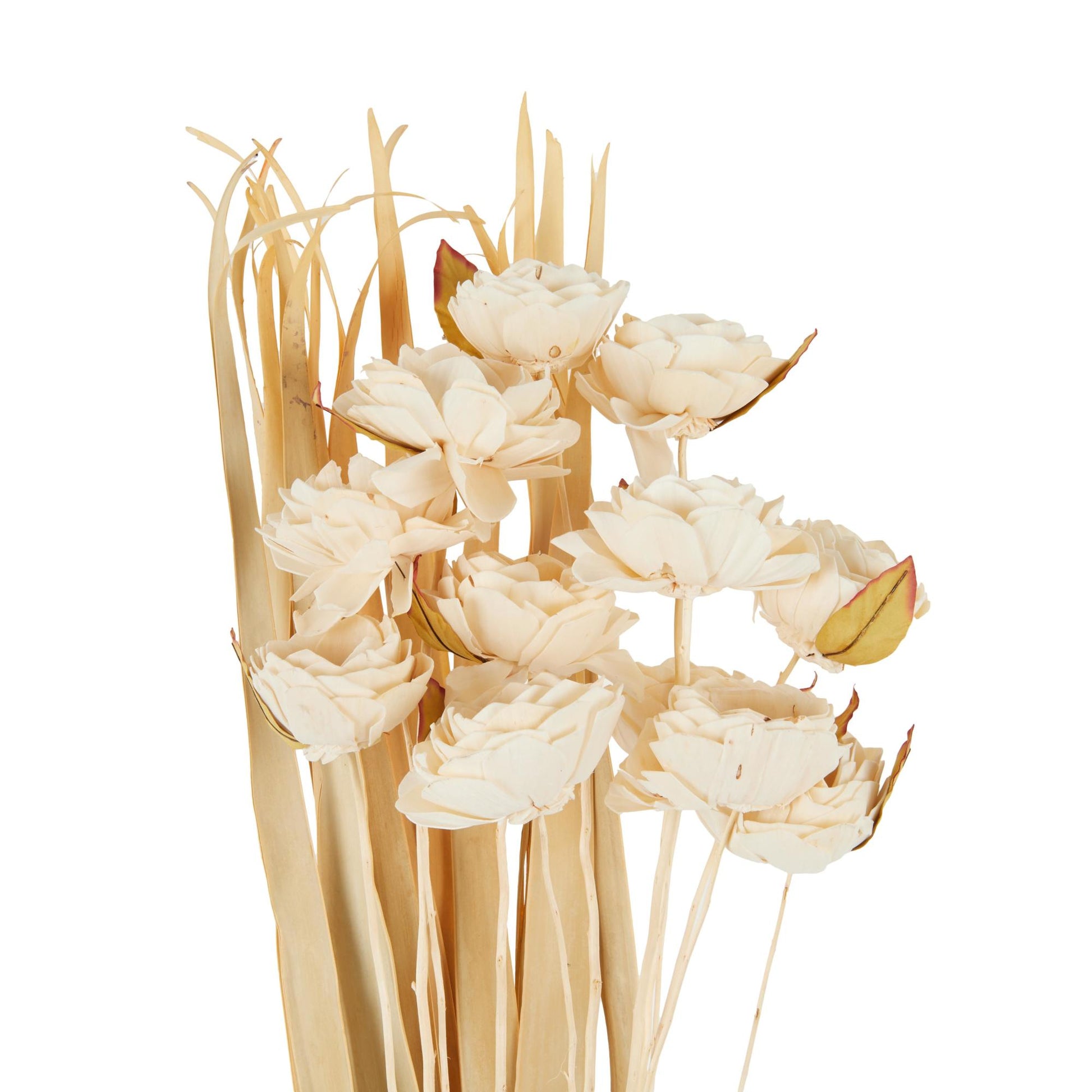 Cream Dried Plant Tall Home Decor Natural Foliage with Flower Petals and Leaves