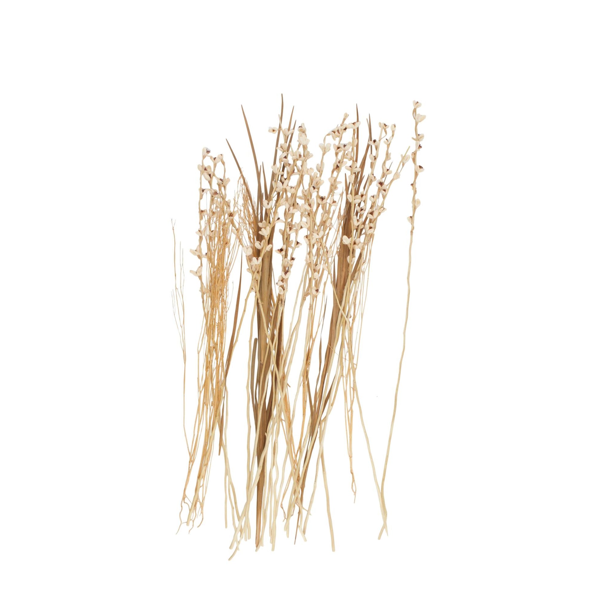 Dried Plant Tall Floral Bouquet Home Decor Natural Foliage with Brown Stems