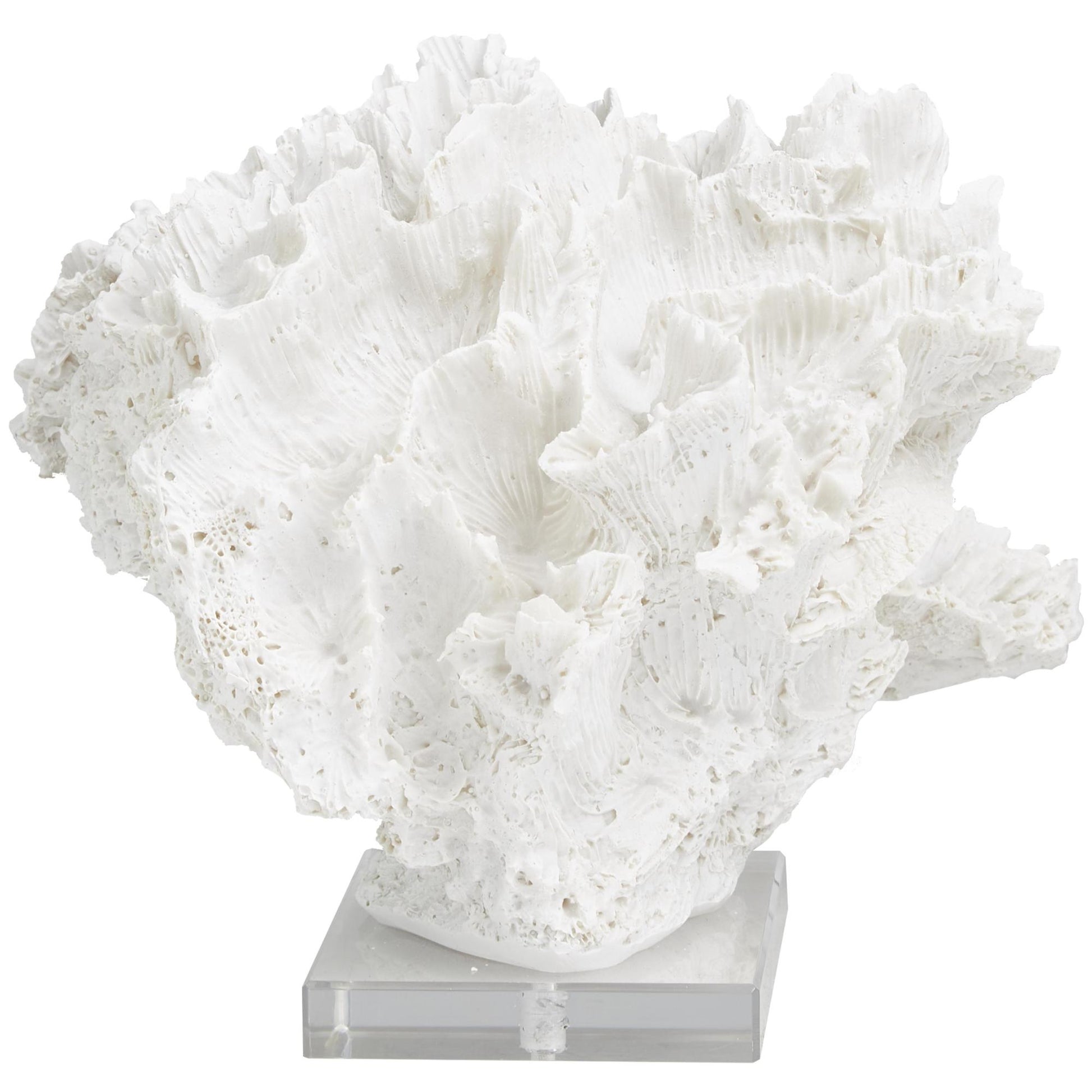 Coral White Polystone Textured Decorative Sculpture with Clear Acrylic Base