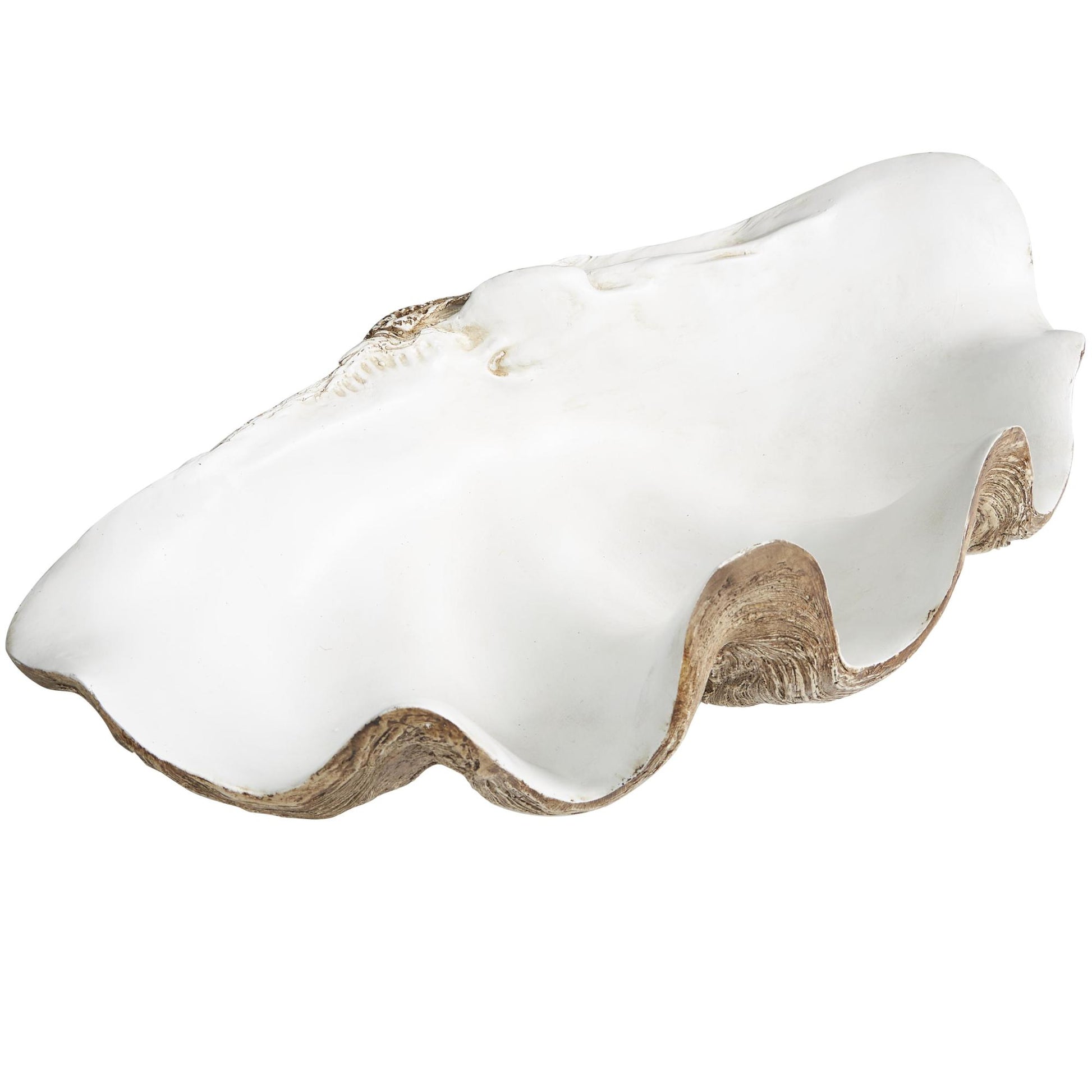 Shell Brown Polystone Large Decorative Bowl with White Interior