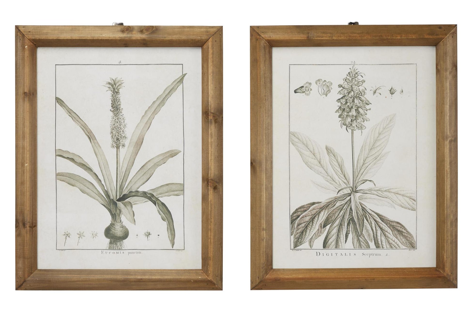 Set of 2 Leaf Light Brown Wood Living Room Framed Wall Art with Gray Accents