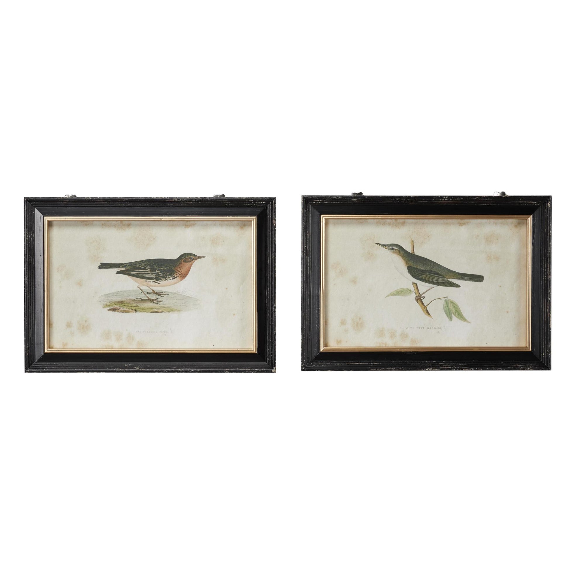 Set of 2 Bird Black Wood Living Room Framed Wall Art with Black Frame