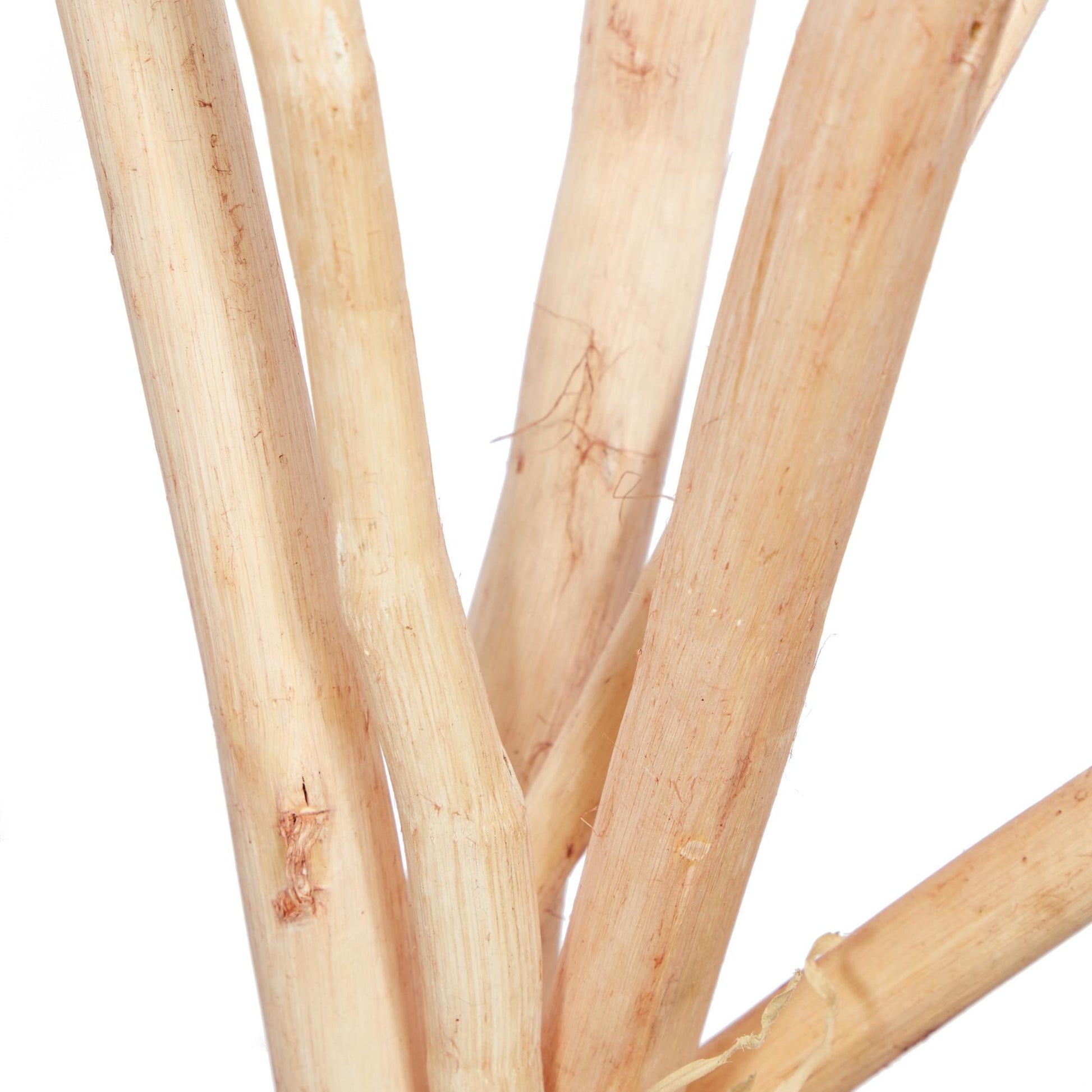 Set of 2 Pigeon pea White Dried Plant Tall Sticks Home Decor Natural Foliage