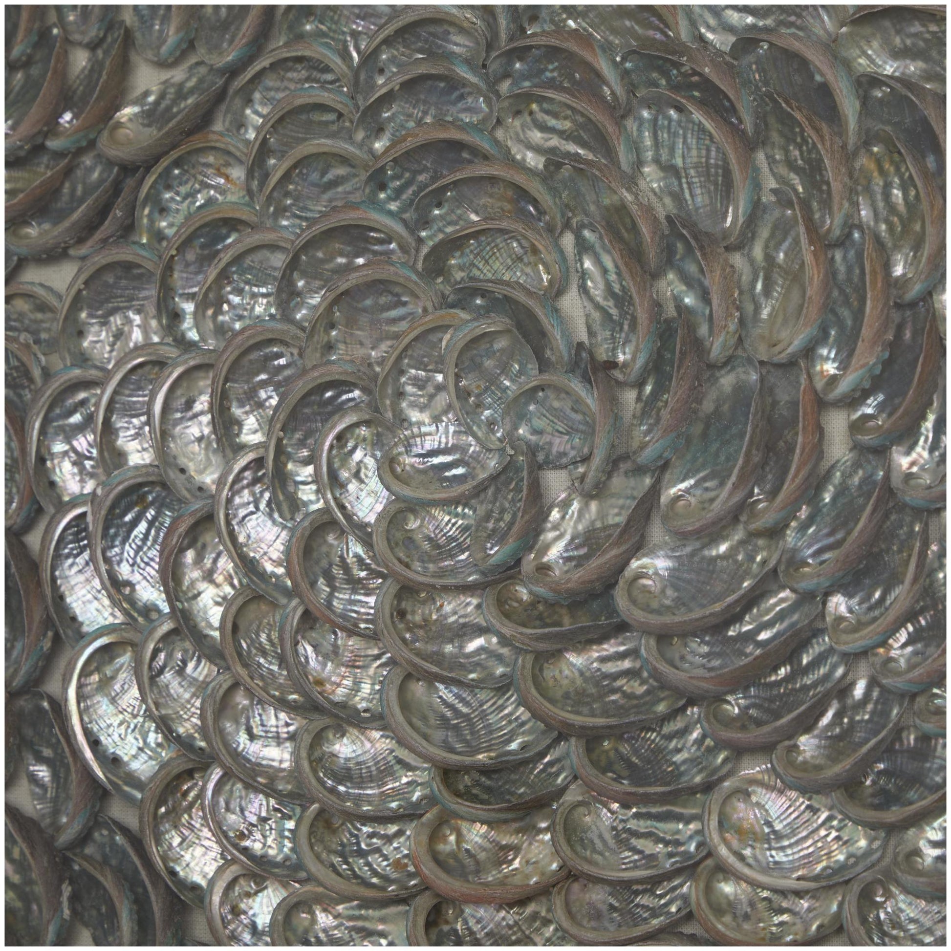 Shell Brown Acrylic Plastic Handmade 3D Layered Home Shadow Box with Iridescent Finish