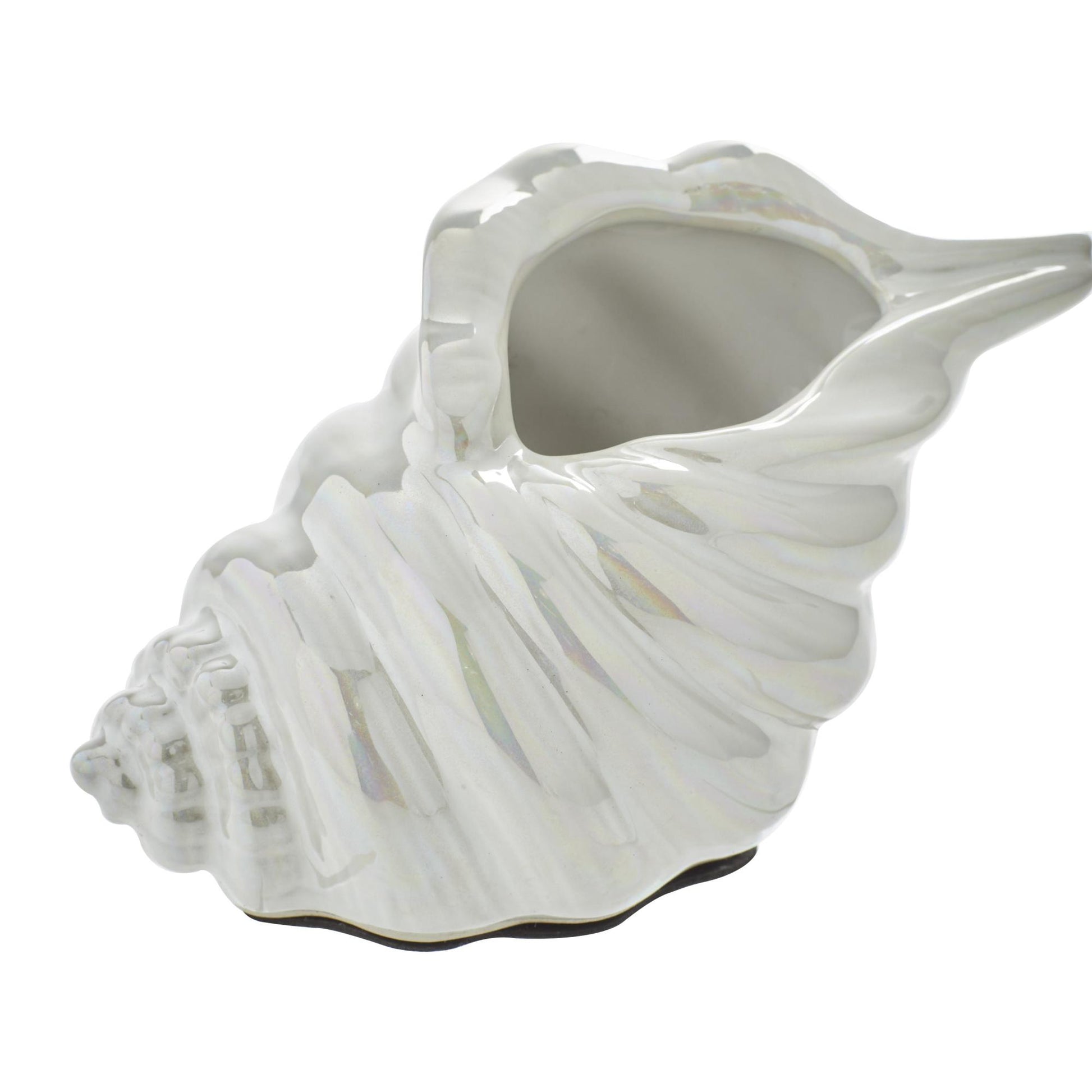 Set of 3 Shell White Porcelain Ceramic Shell Decorative Sculpture