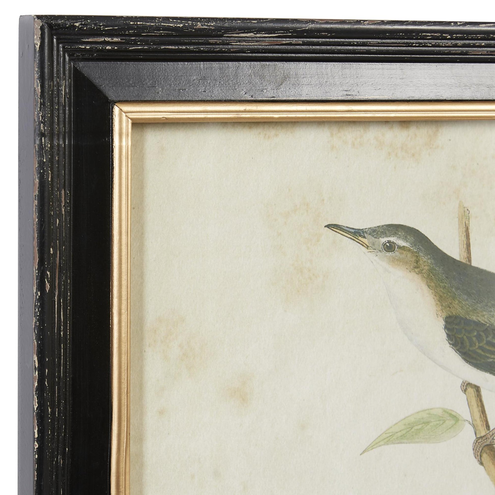 Set of 2 Bird Black Wood Living Room Framed Wall Art with Black Frame