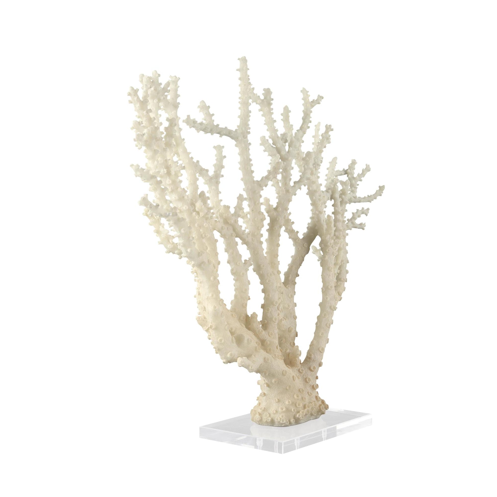 Coral Cream Polystone Decorative Sculpture with Clear Acrylic Base