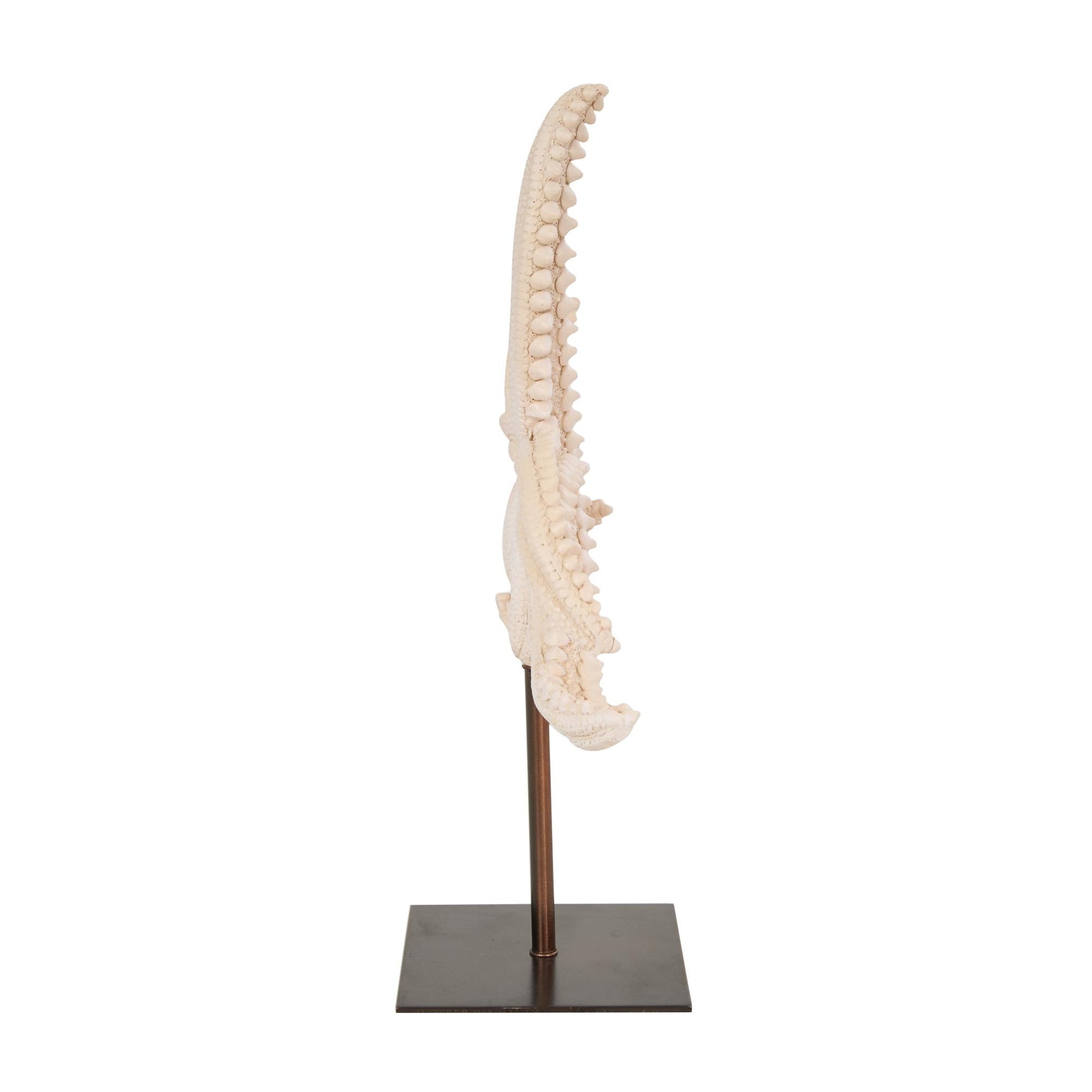Starfish Pink Polystone Textured Decorative Sculpture with Copper Stand