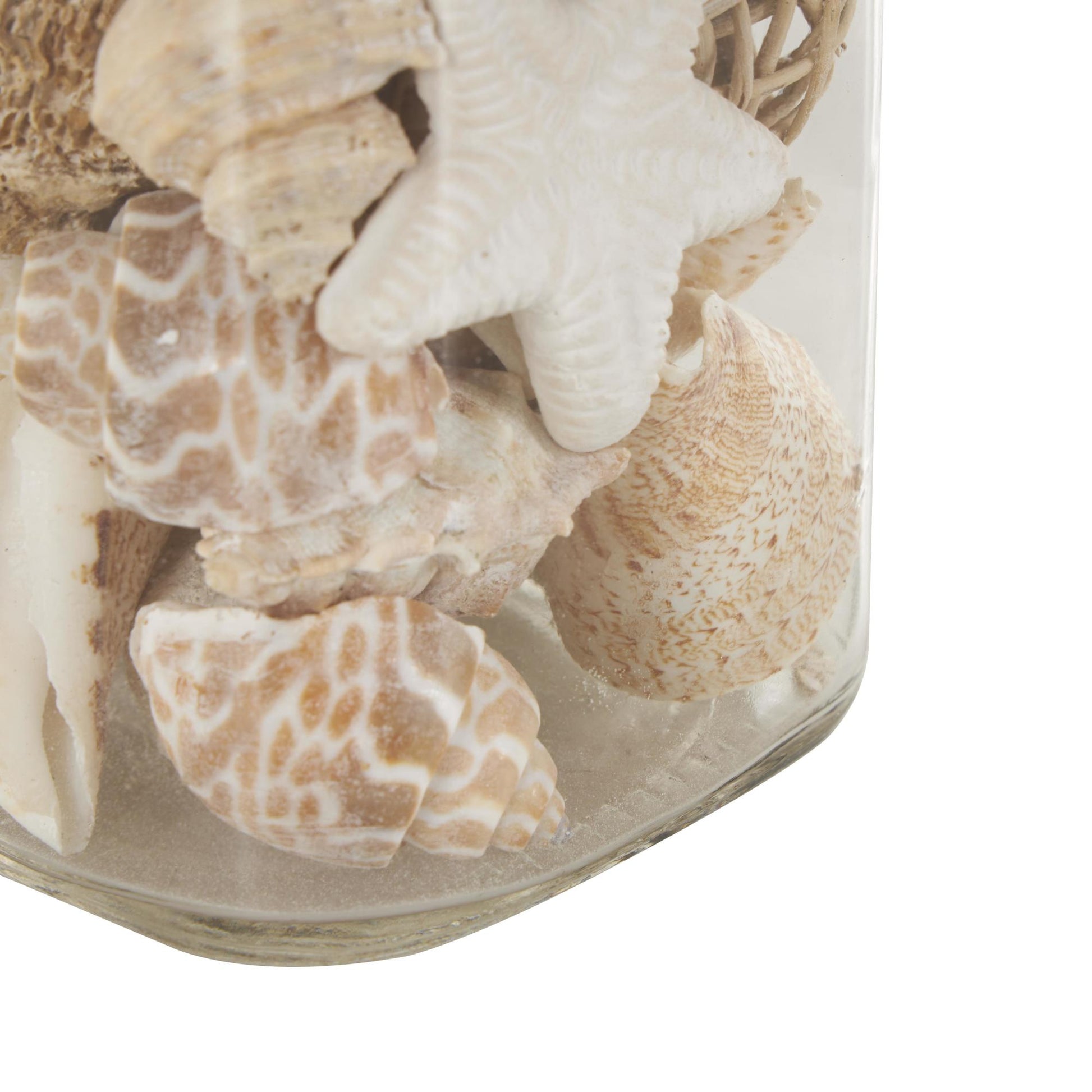 Set of 3 Clear Glass Decorative Orbs & Vase Filler with Seashells and Jute Rope Accents