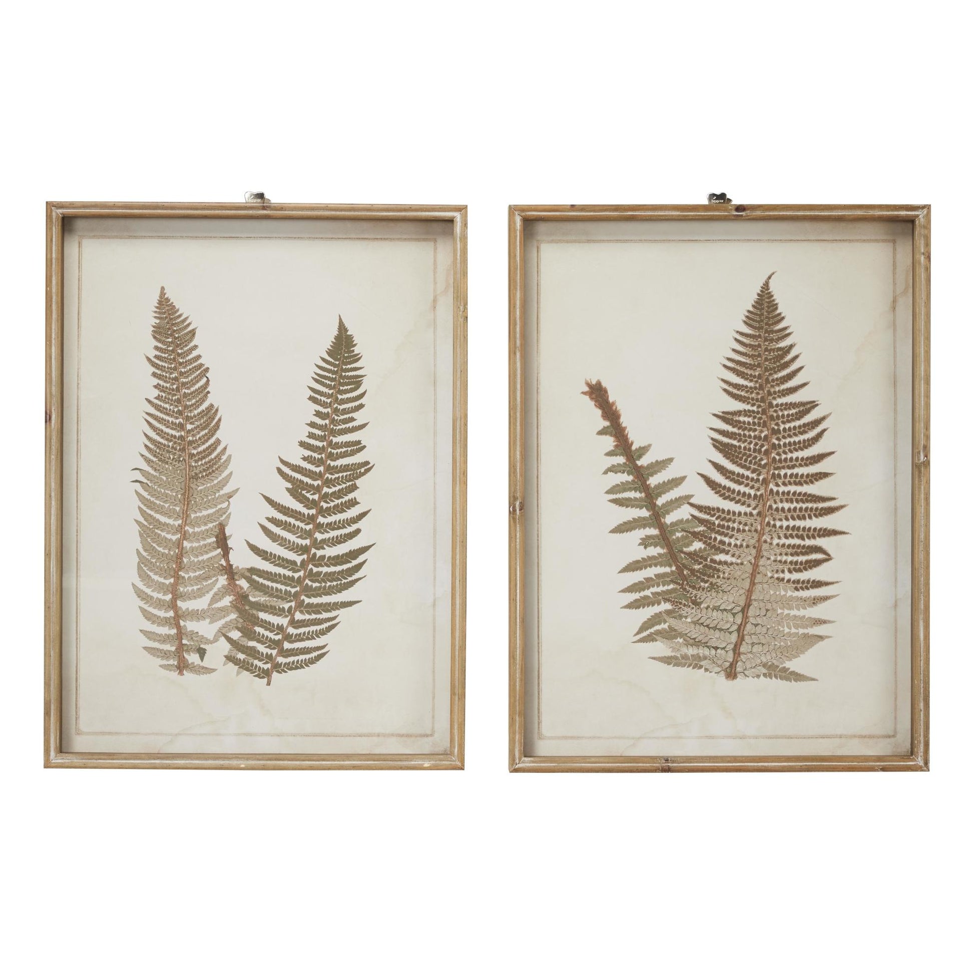 Set of 2 Leaf Brown Wood Fern Home Shadow Box with Beige Backing