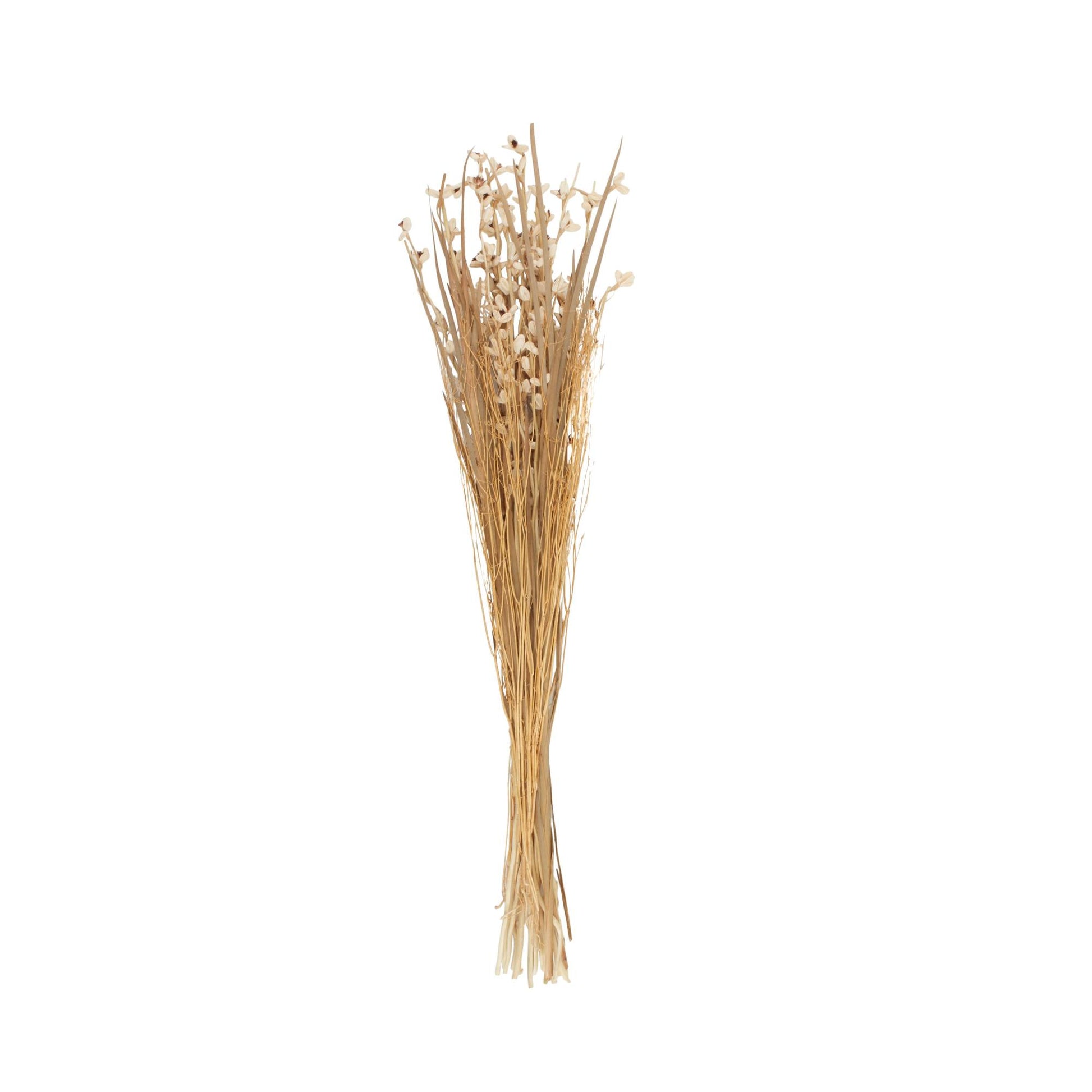 Dried Plant Tall Floral Bouquet Home Decor Natural Foliage with Brown Stems