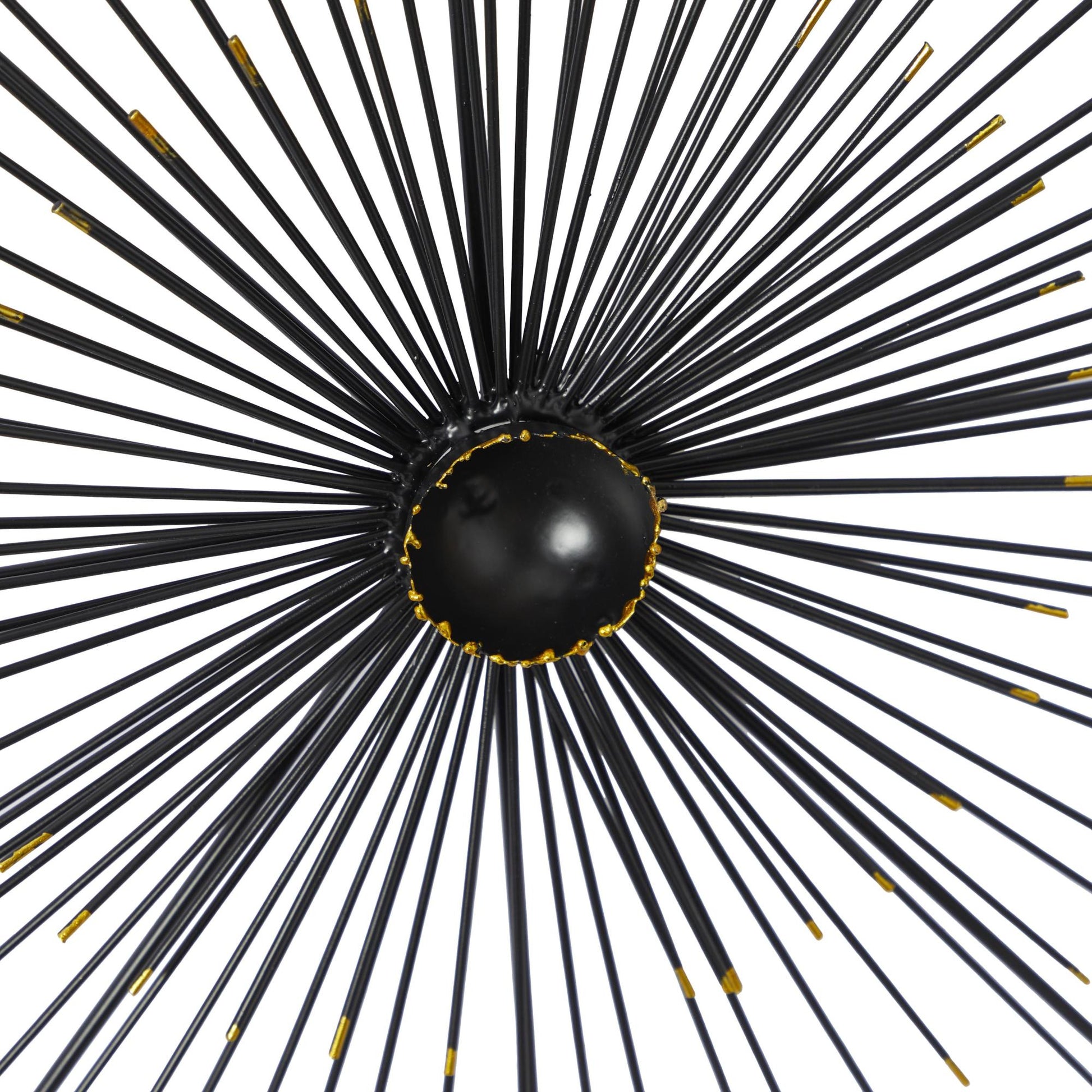 Starburst Black Metal Sea Urchin Home Wall Decor with Black Frame