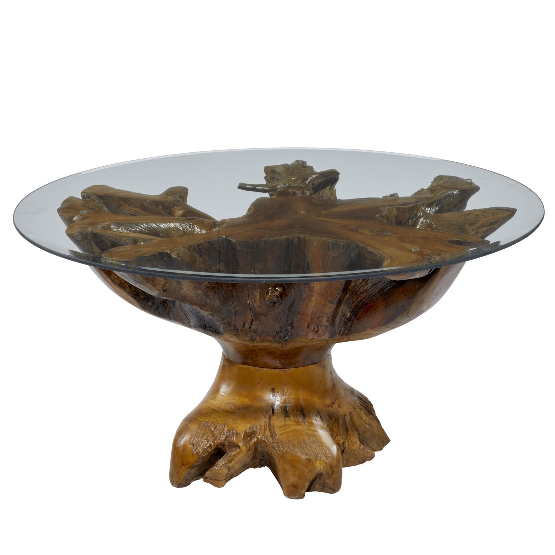 Brown Teak Wood Handmade Live Edge Tree Stump Living Room Coffee Table with Clear Glass Top
