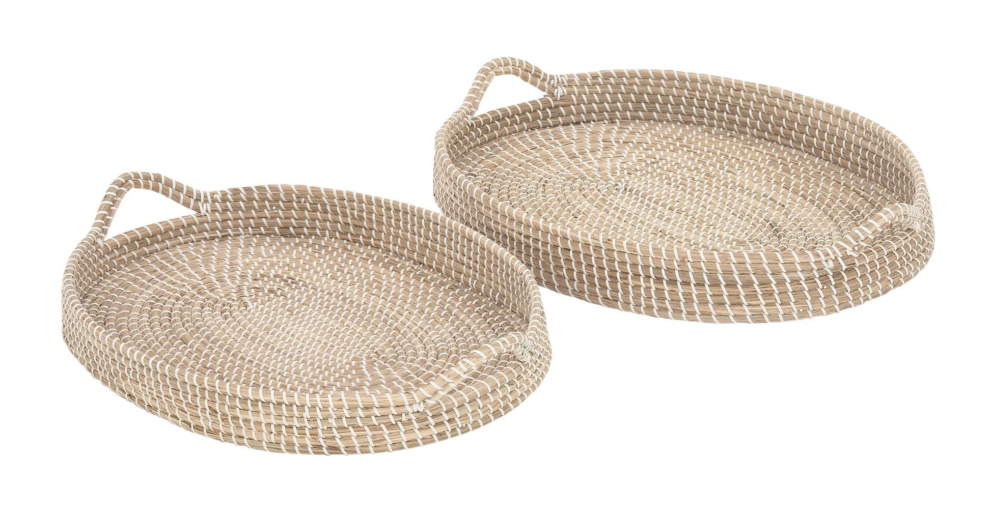 Set of 2 Brown Dried Plant Handmade Living Room Decor Tray with Metal Rim