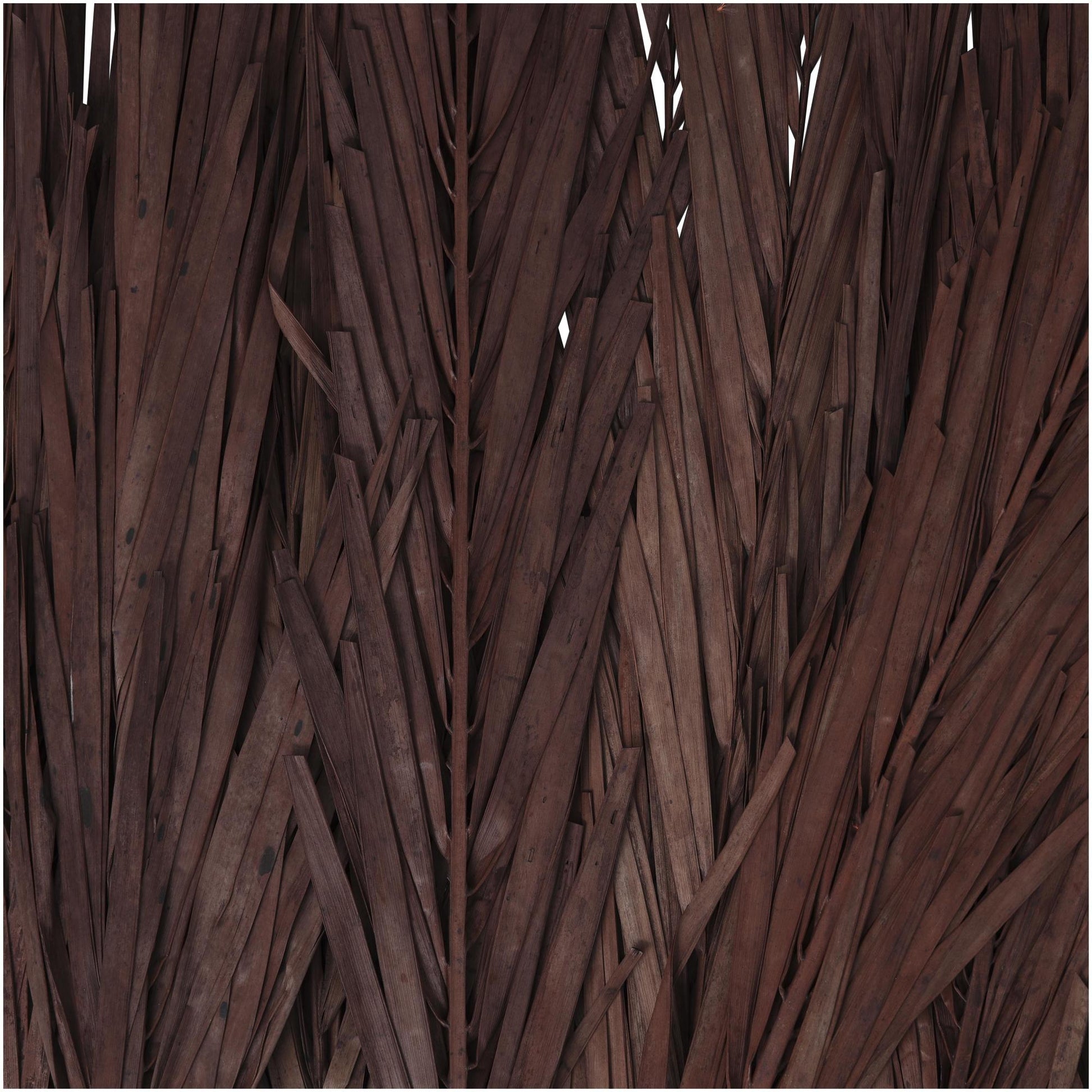 Palm Leaf Dried Plant Tall Home Decor Natural Foliage with Grass and Feather Inspired Stems