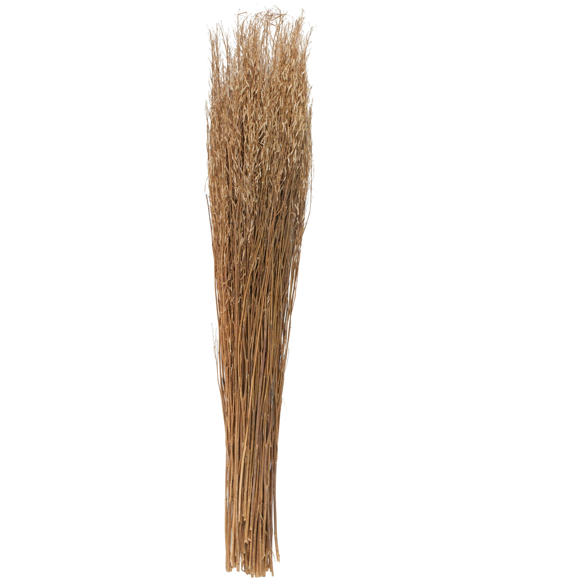 Dried Plant Tall Sticks Home Decor Natural Foliage with Grass 10" x 10" x 45"
